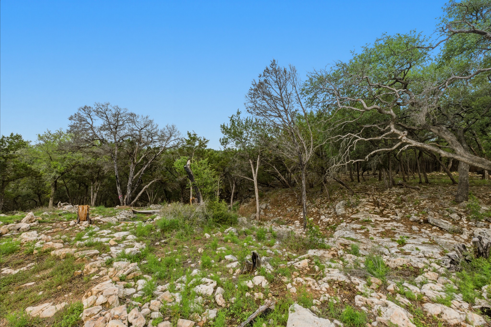 main property photo 11