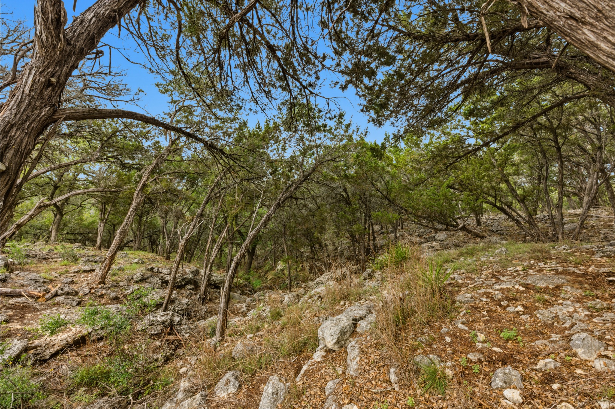 main property photo 20