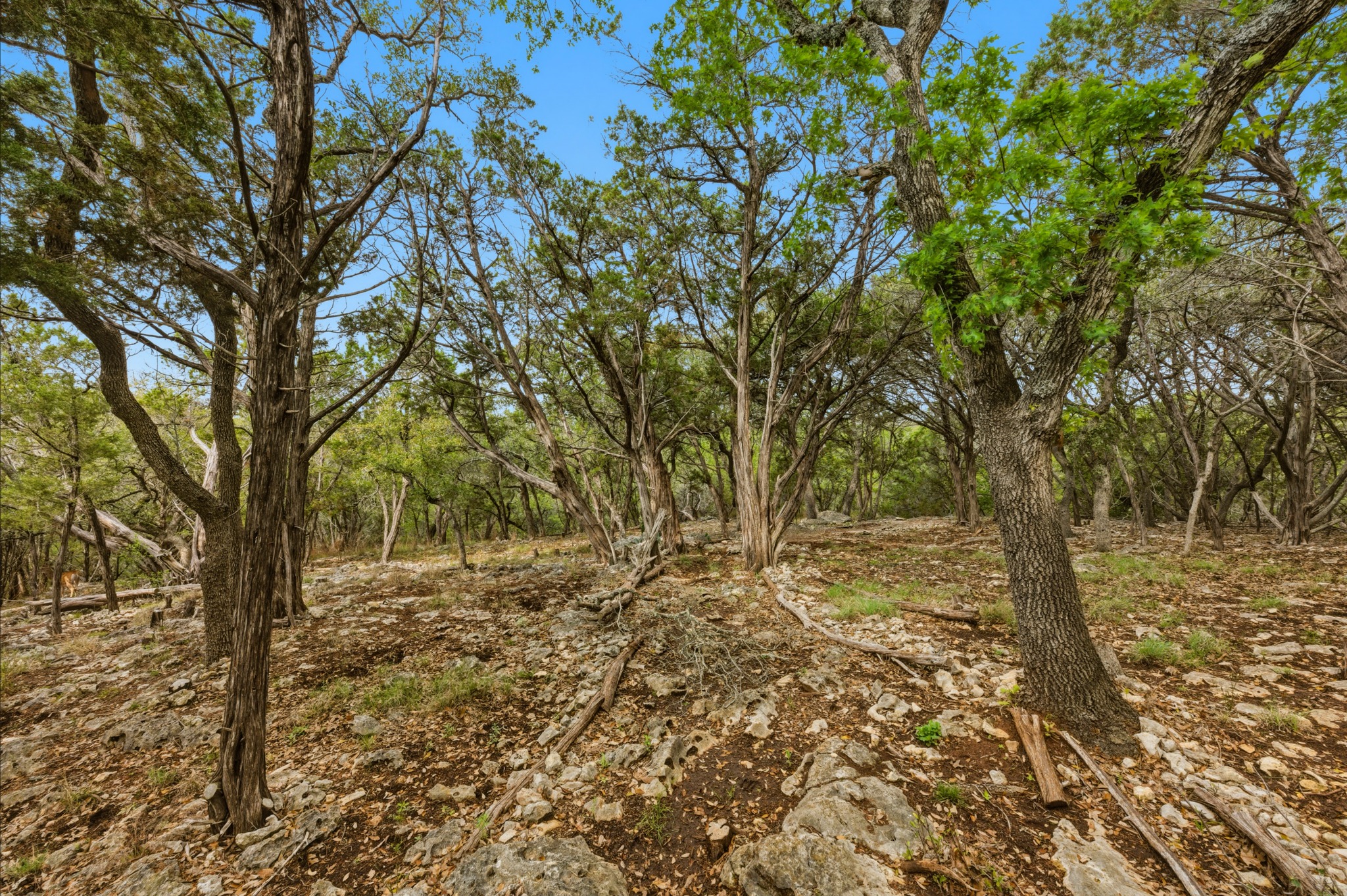 main property photo 21