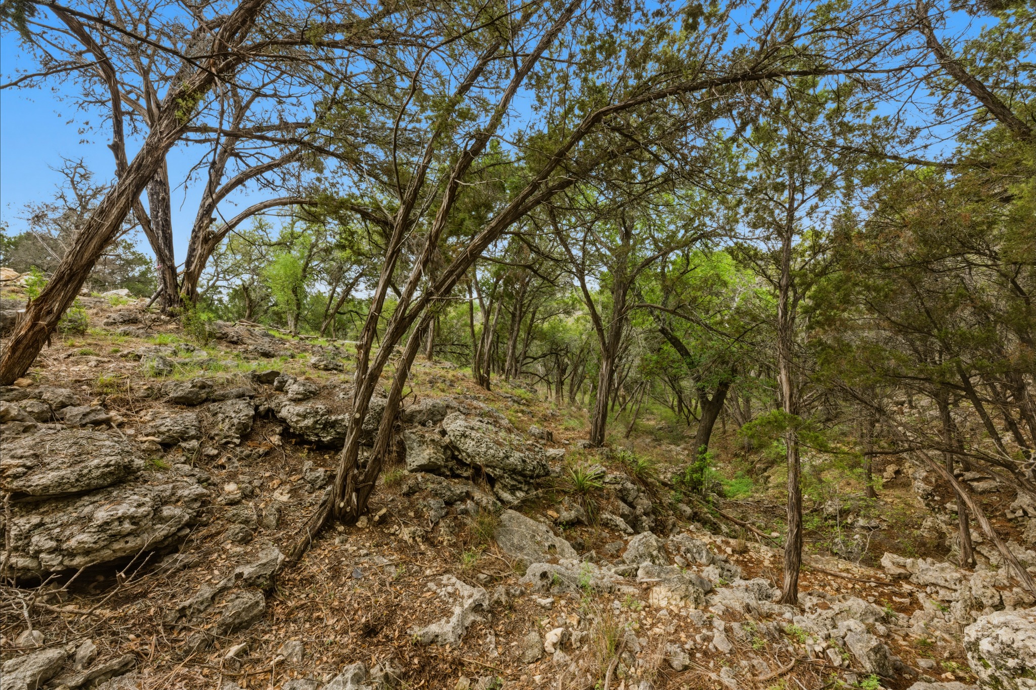 main property photo 22
