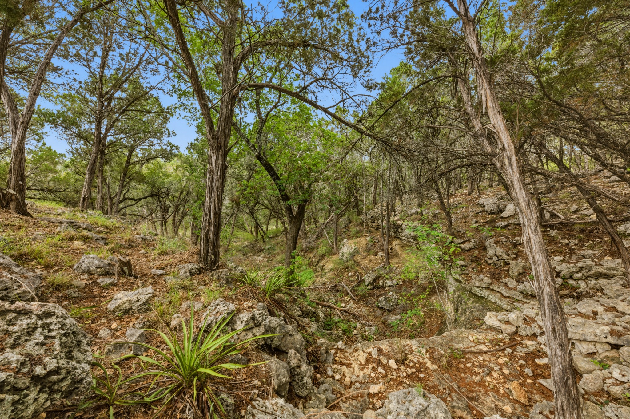main property photo 23
