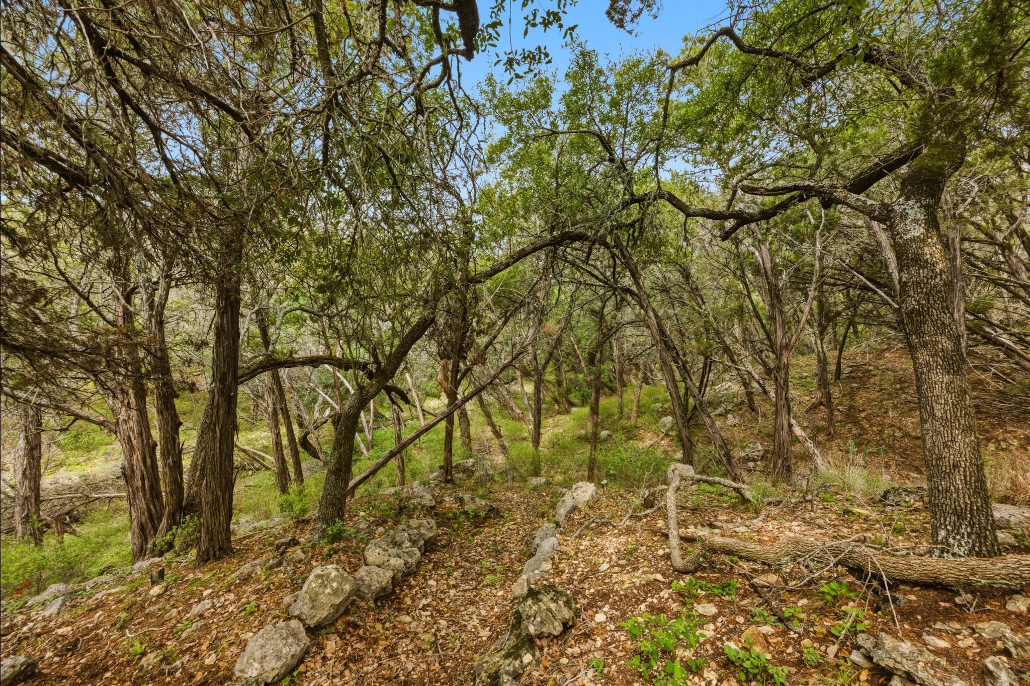 main property photo 24