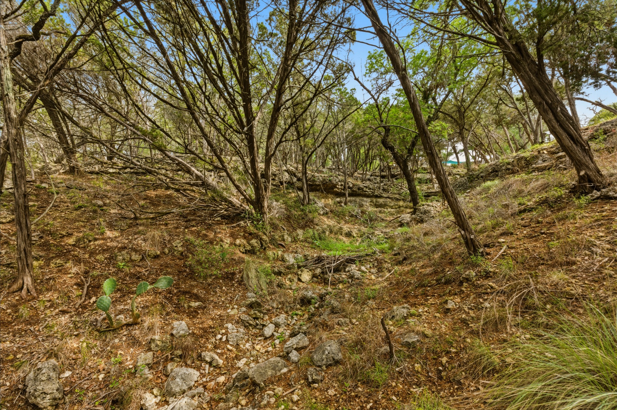 main property photo 25