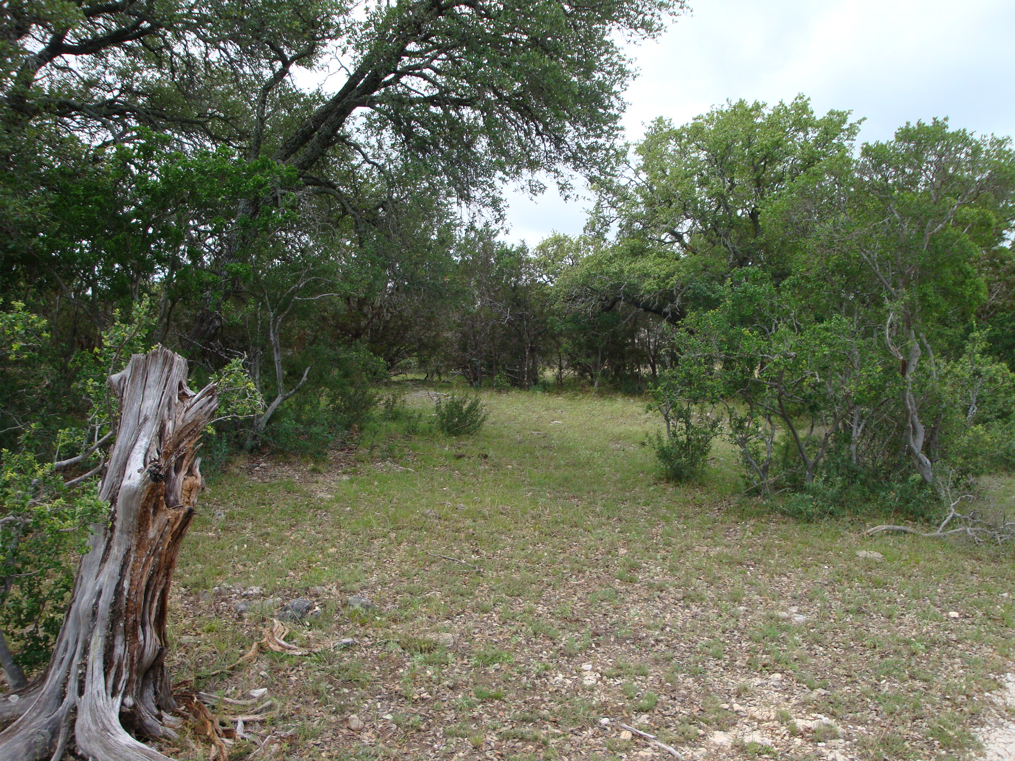 main property photo 29