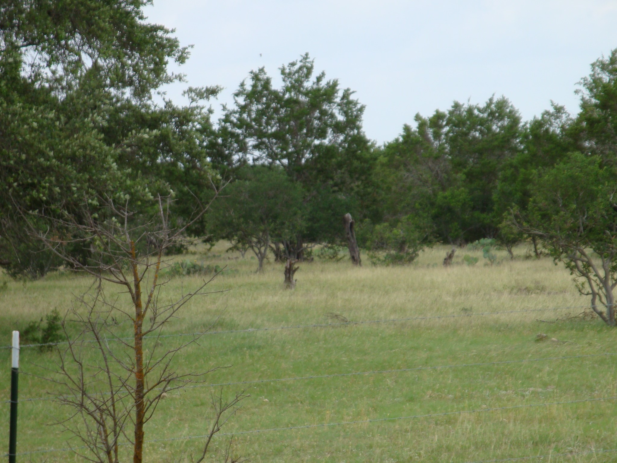 main property photo 35