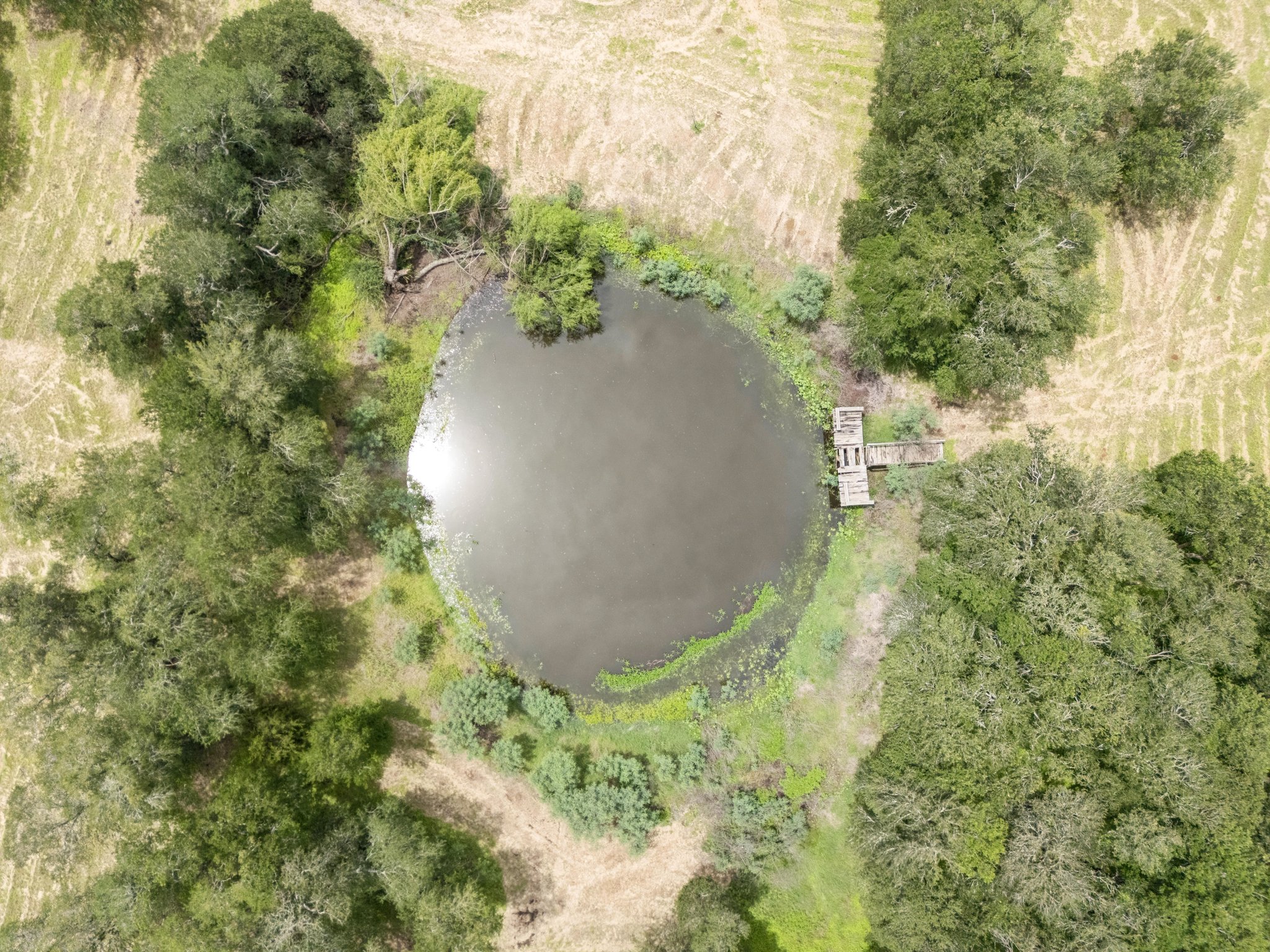 main property photo 36