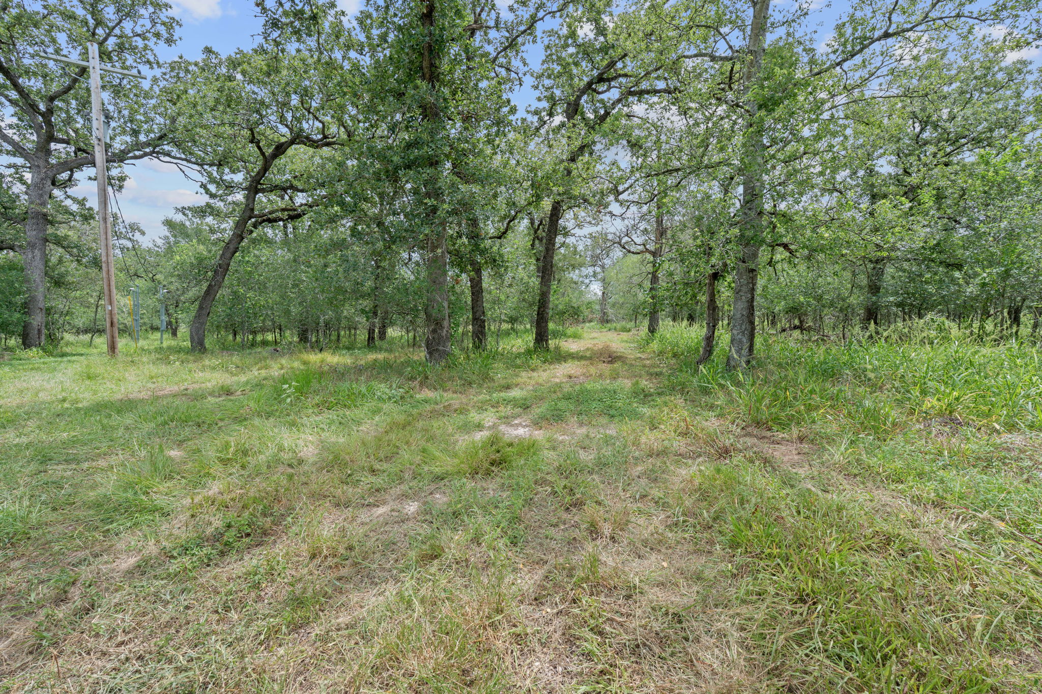 main property photo 34