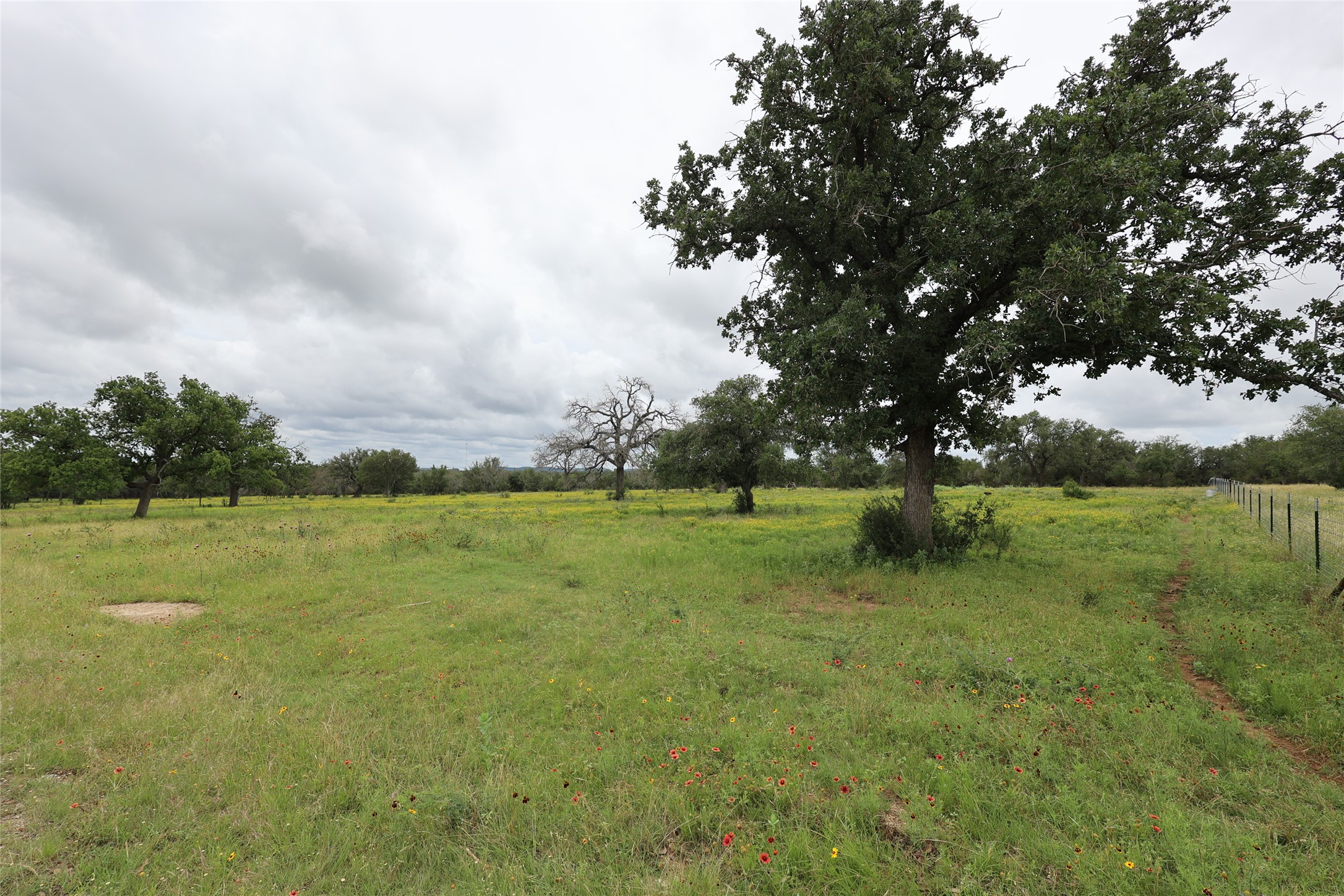 main property photo 20