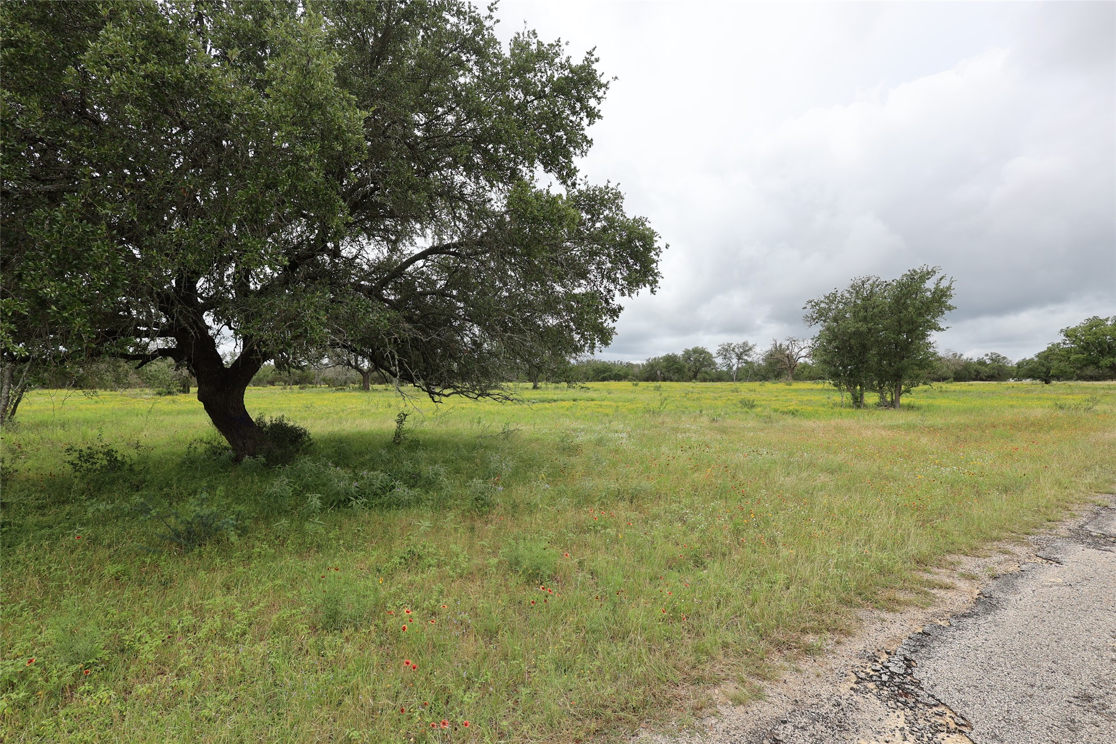 main property photo 21
