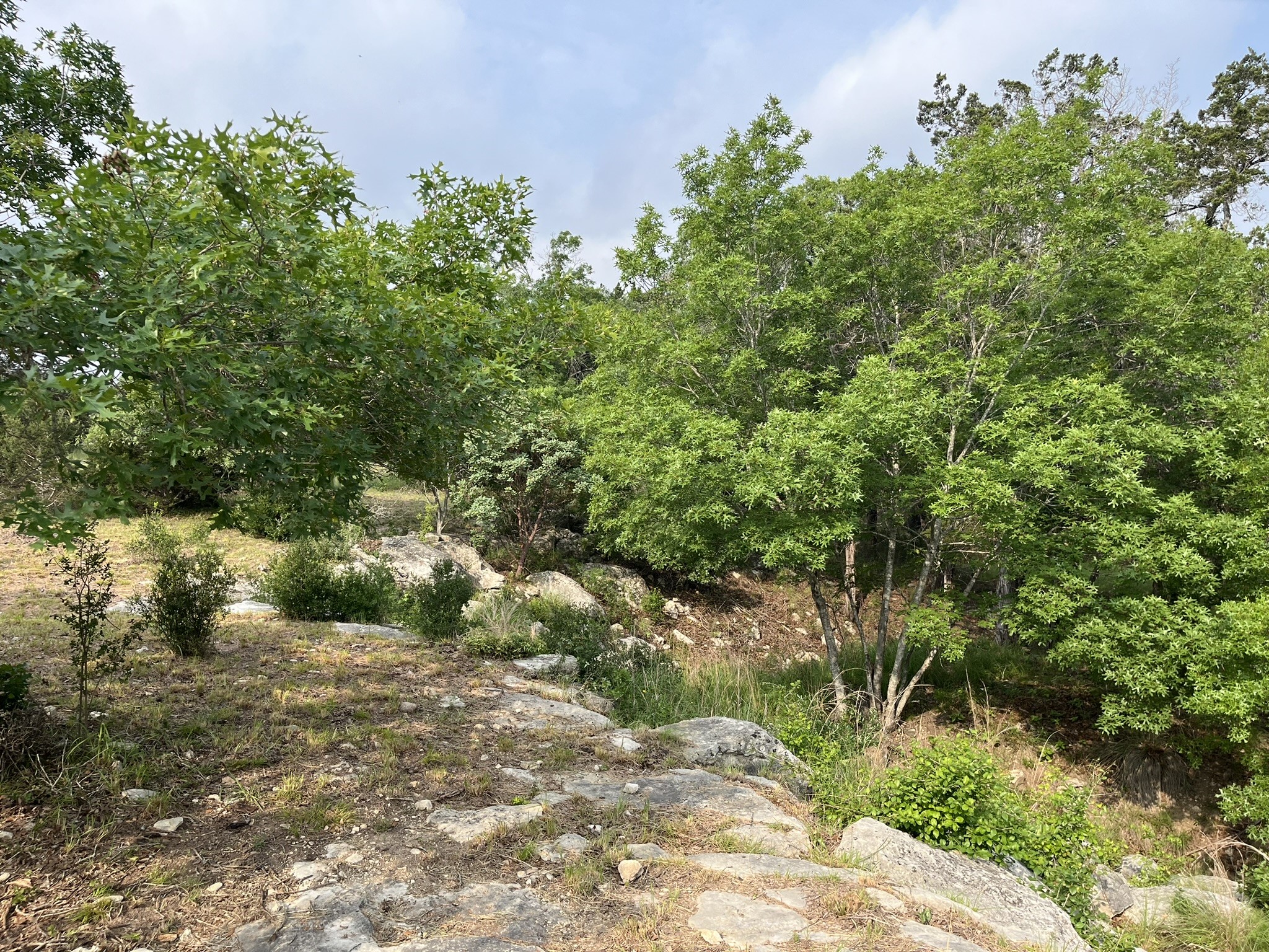 main property photo 10