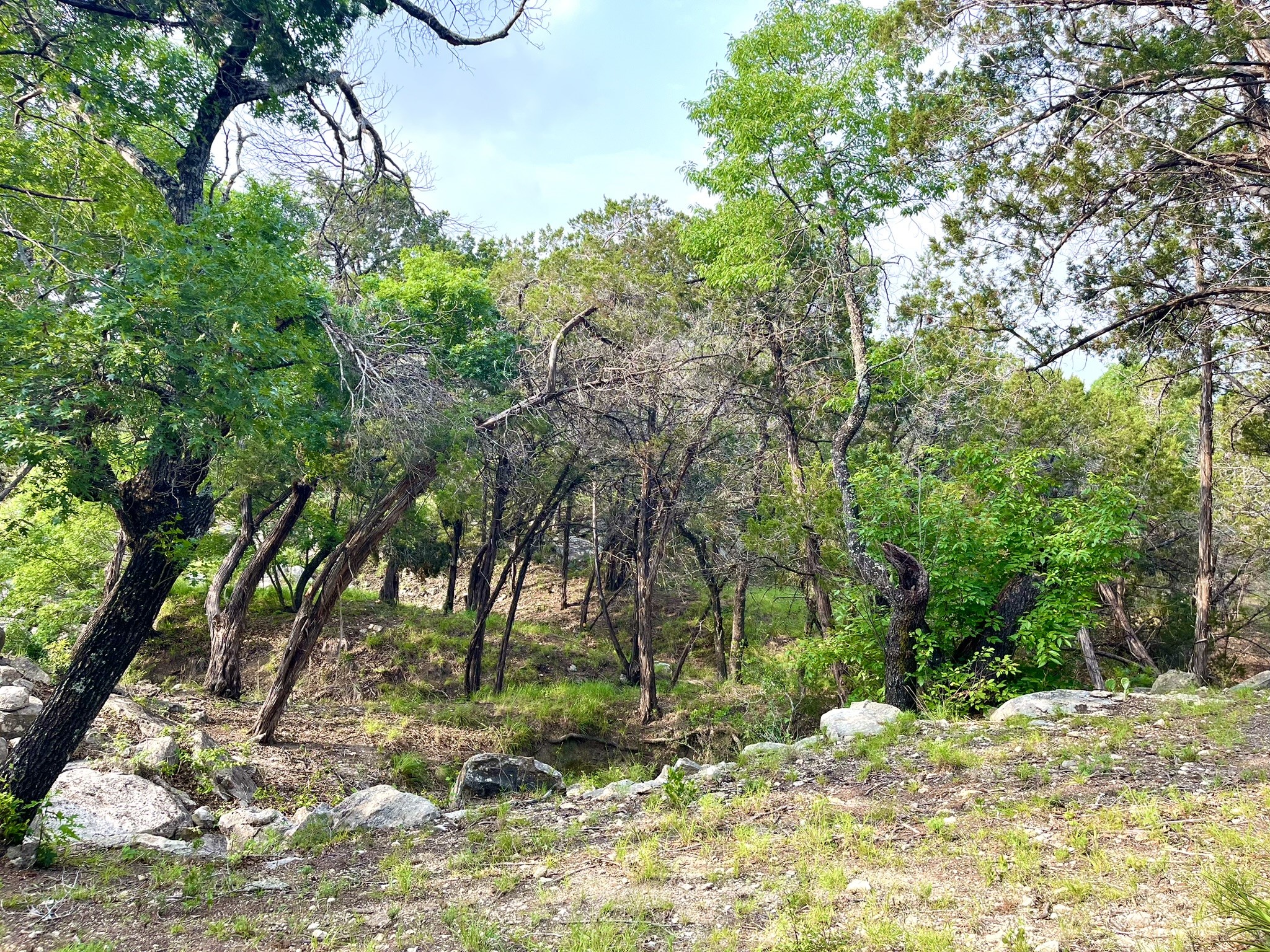 main property photo 12