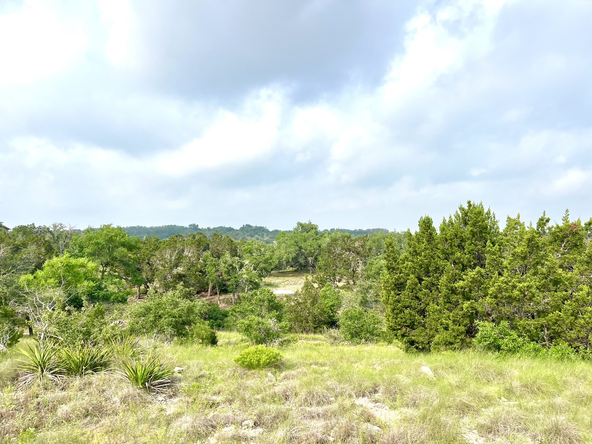 main property photo 13
