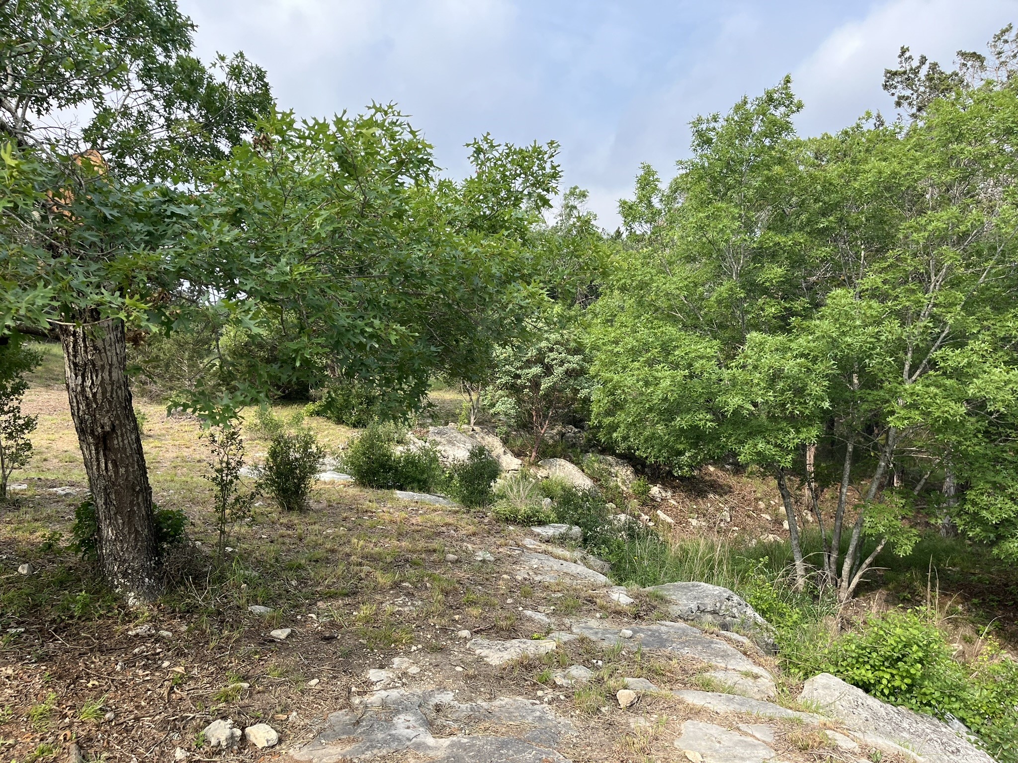 main property photo 17