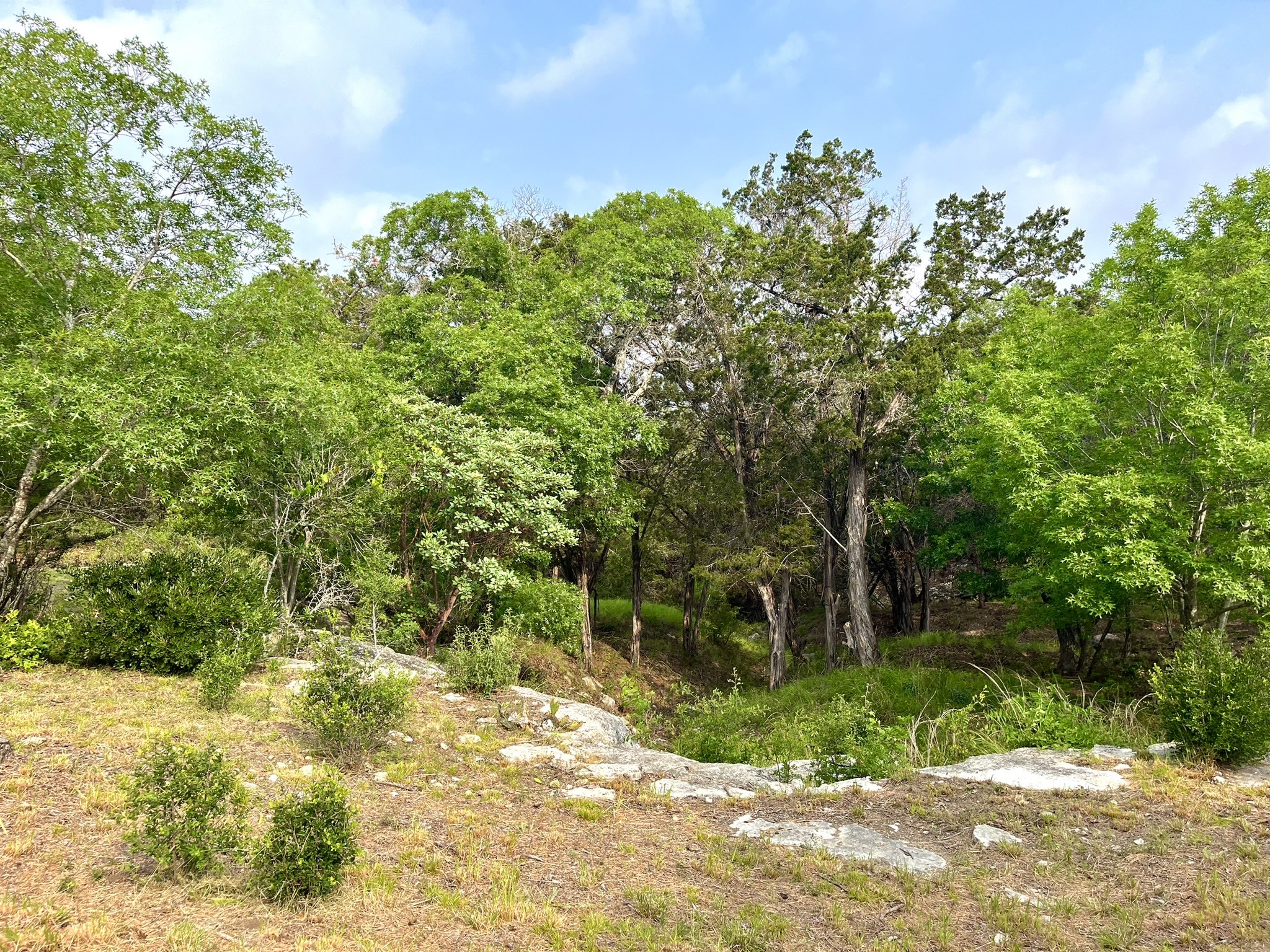 main property photo 18