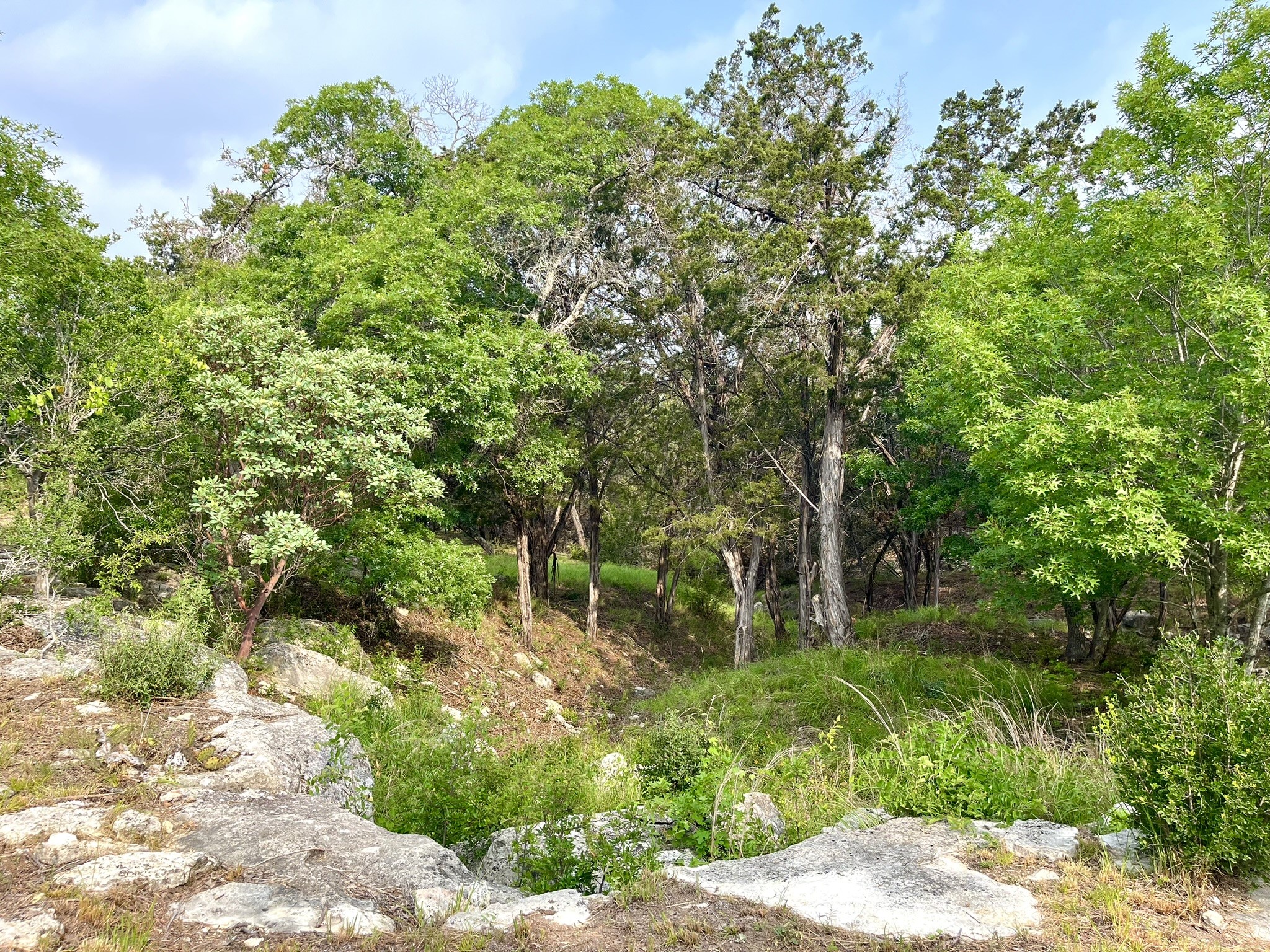 main property photo 19