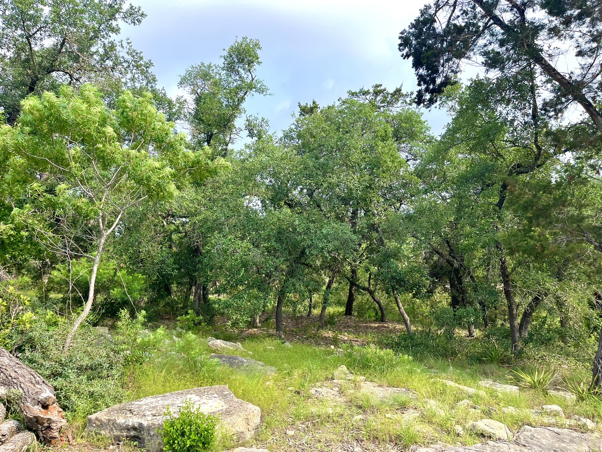 main property photo 24