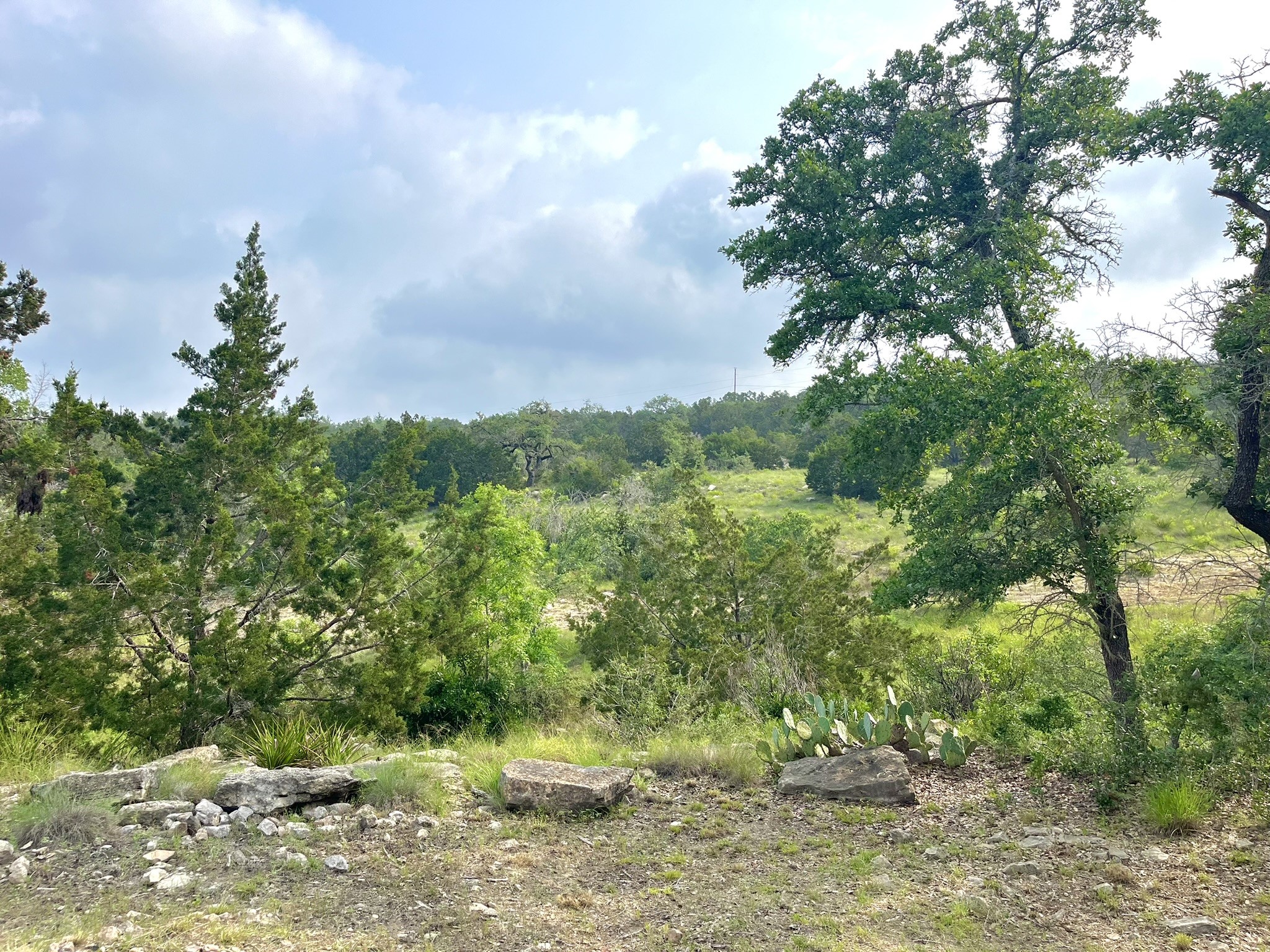 main property photo 25
