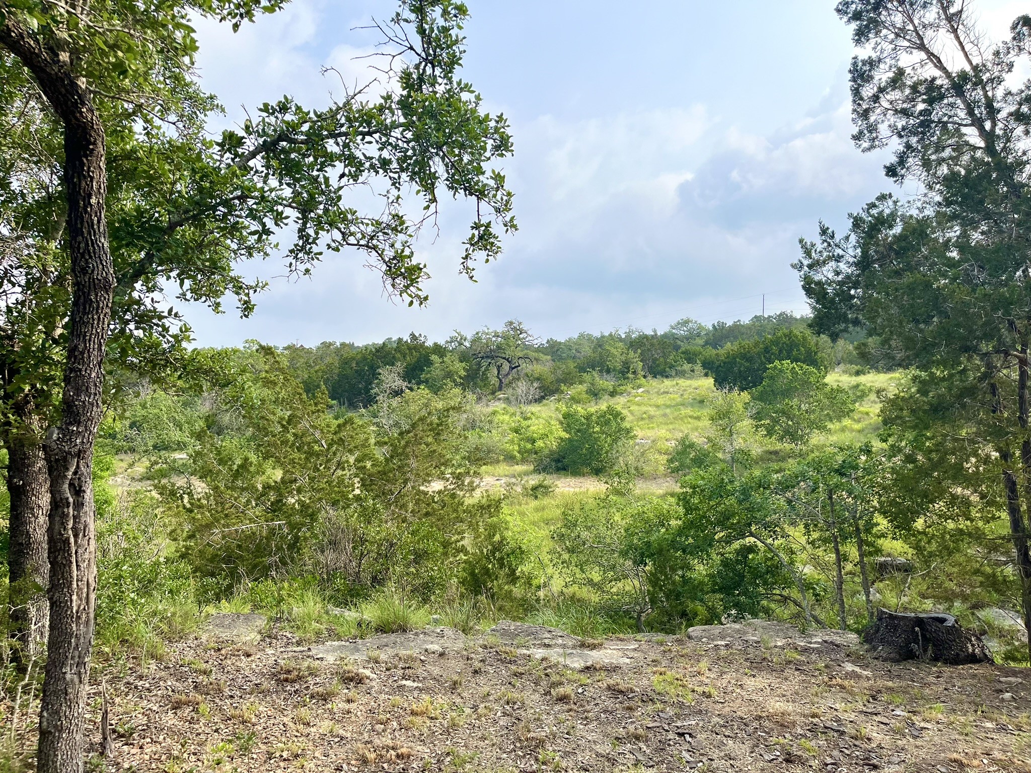 main property photo 26
