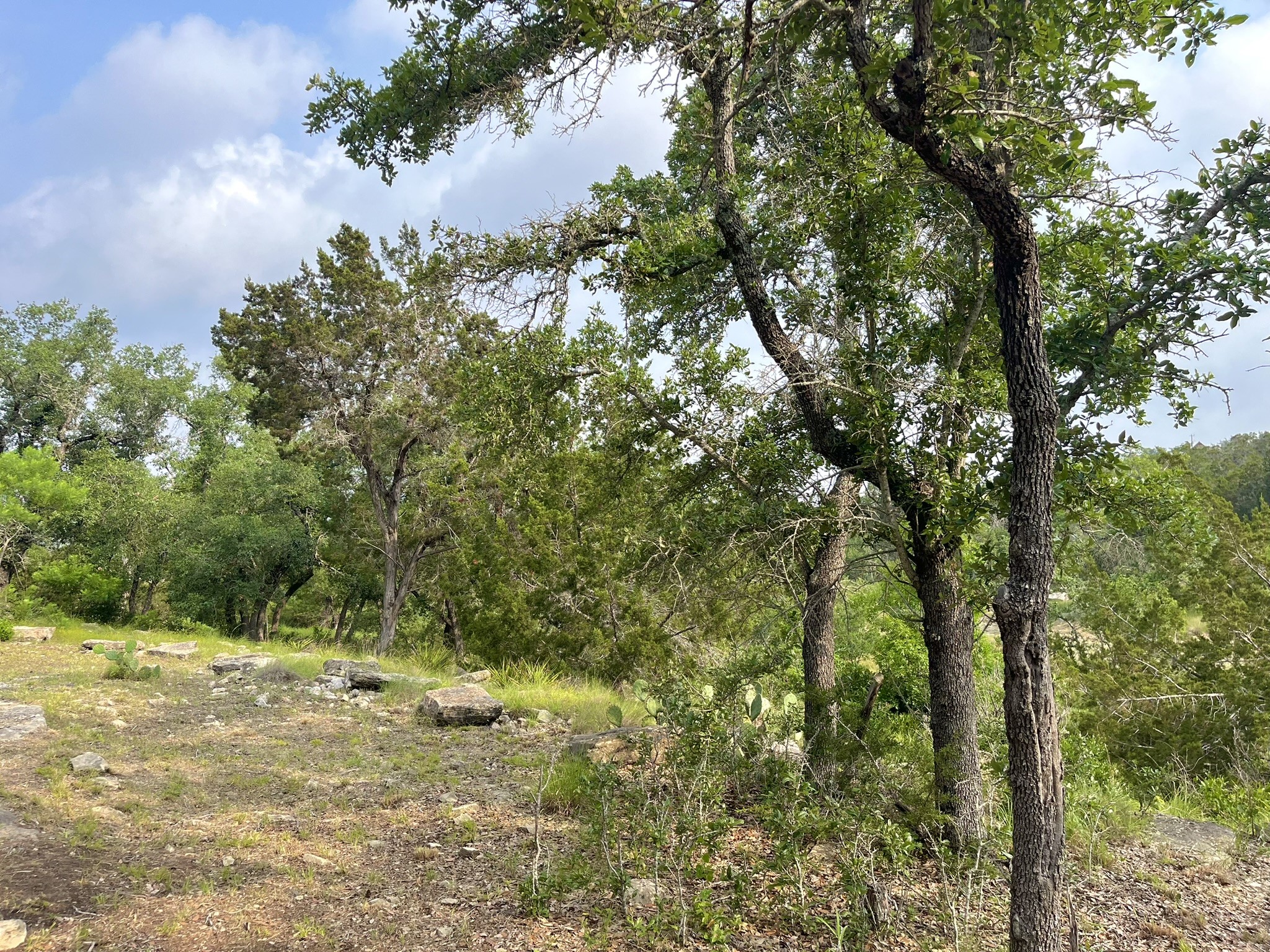 main property photo 27