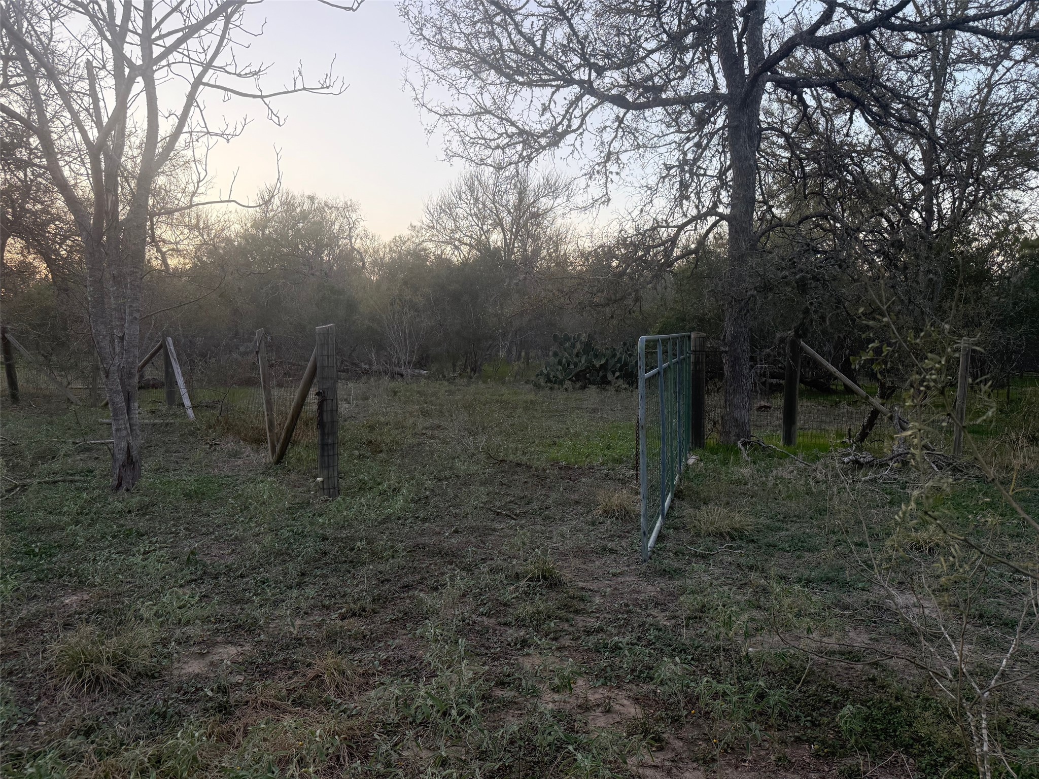 main property photo 10