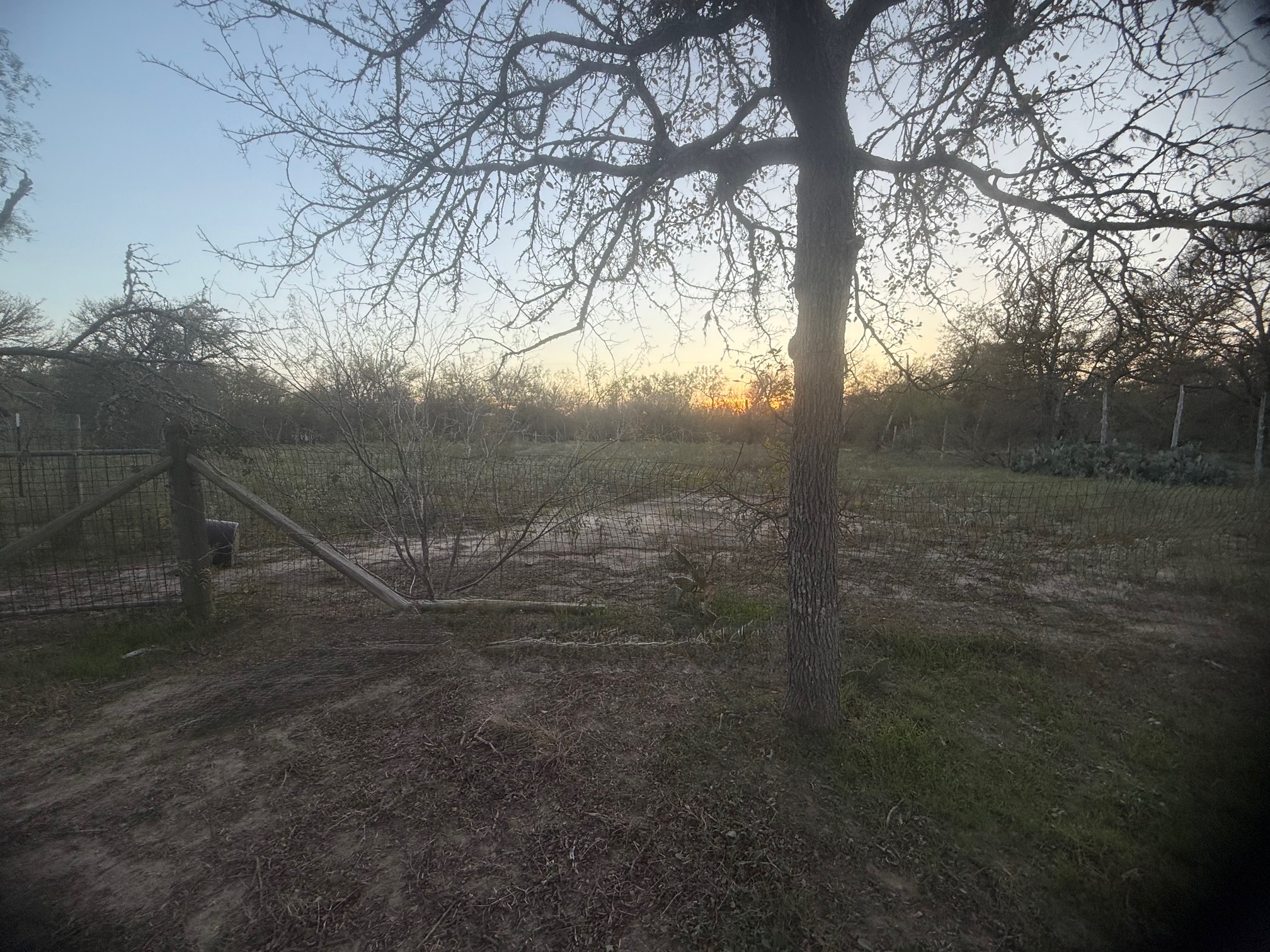 main property photo 36