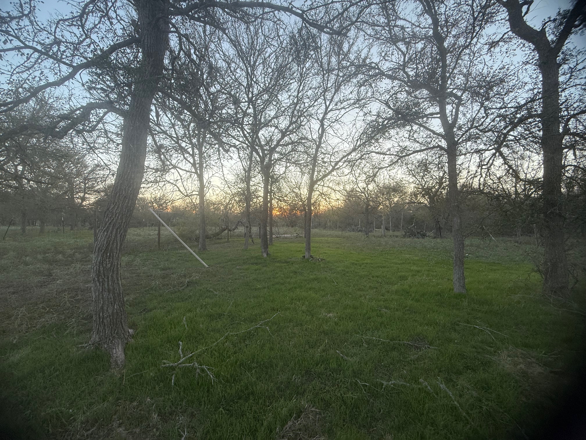 main property photo 37