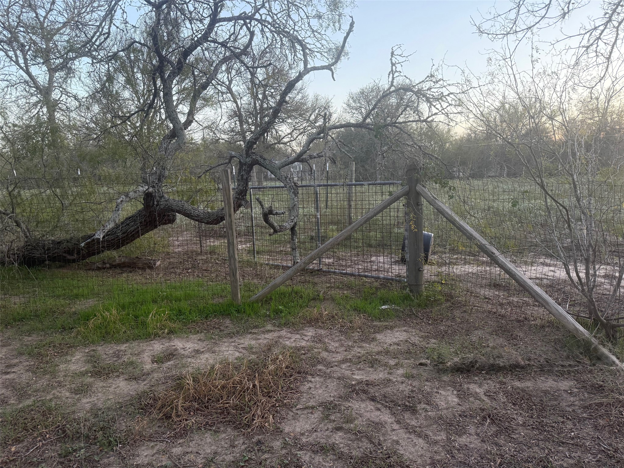 main property photo 9