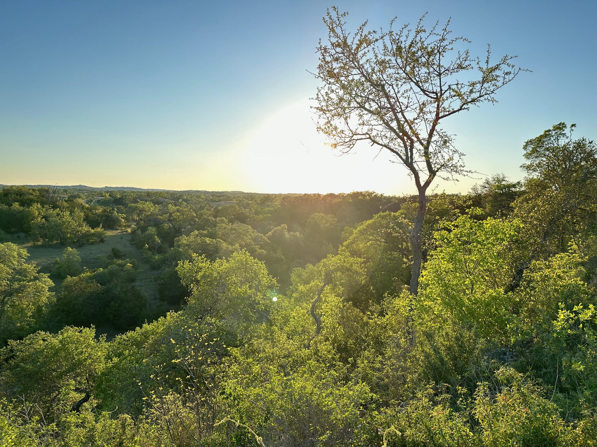main property photo 18