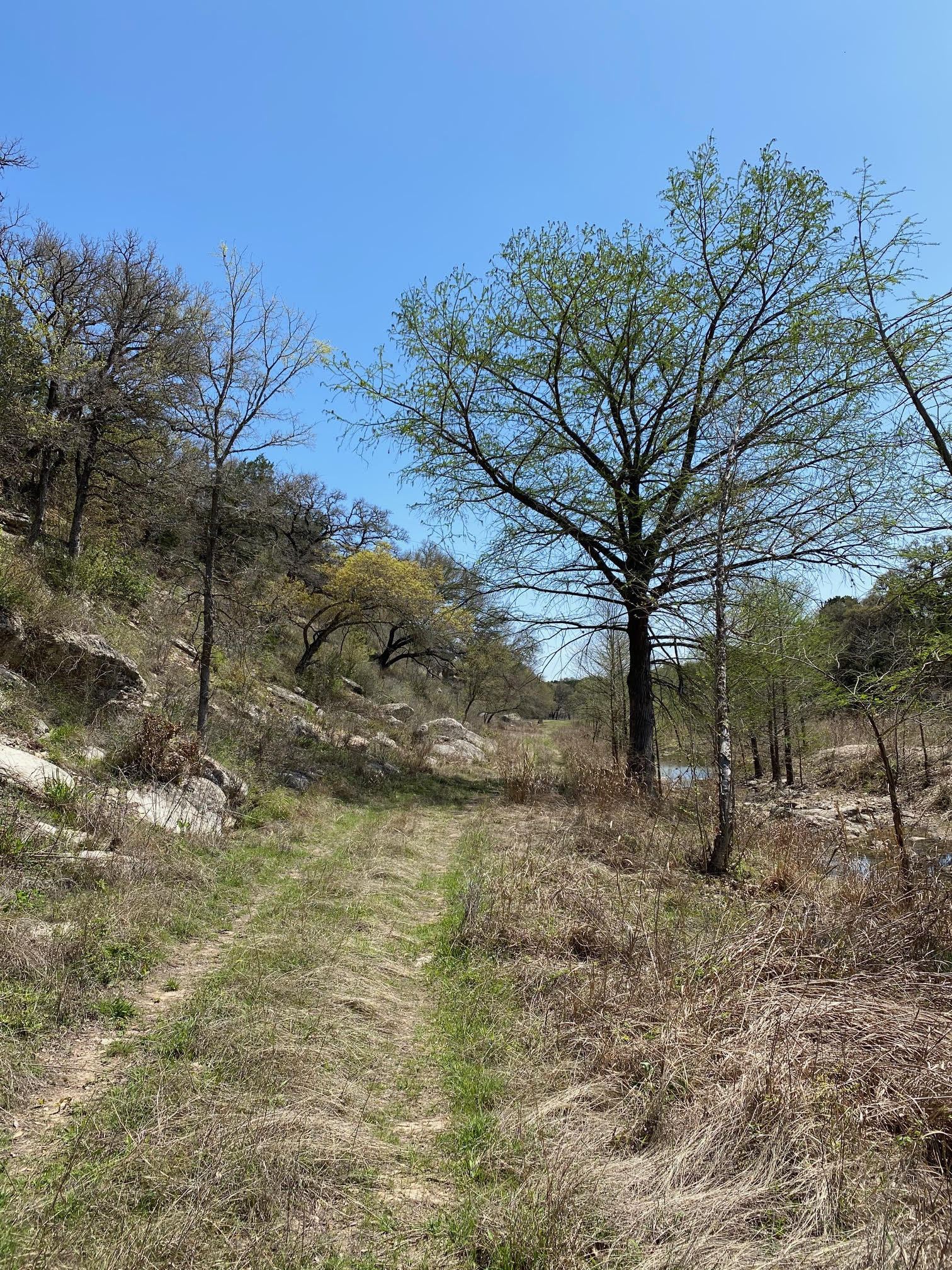 main property photo 21