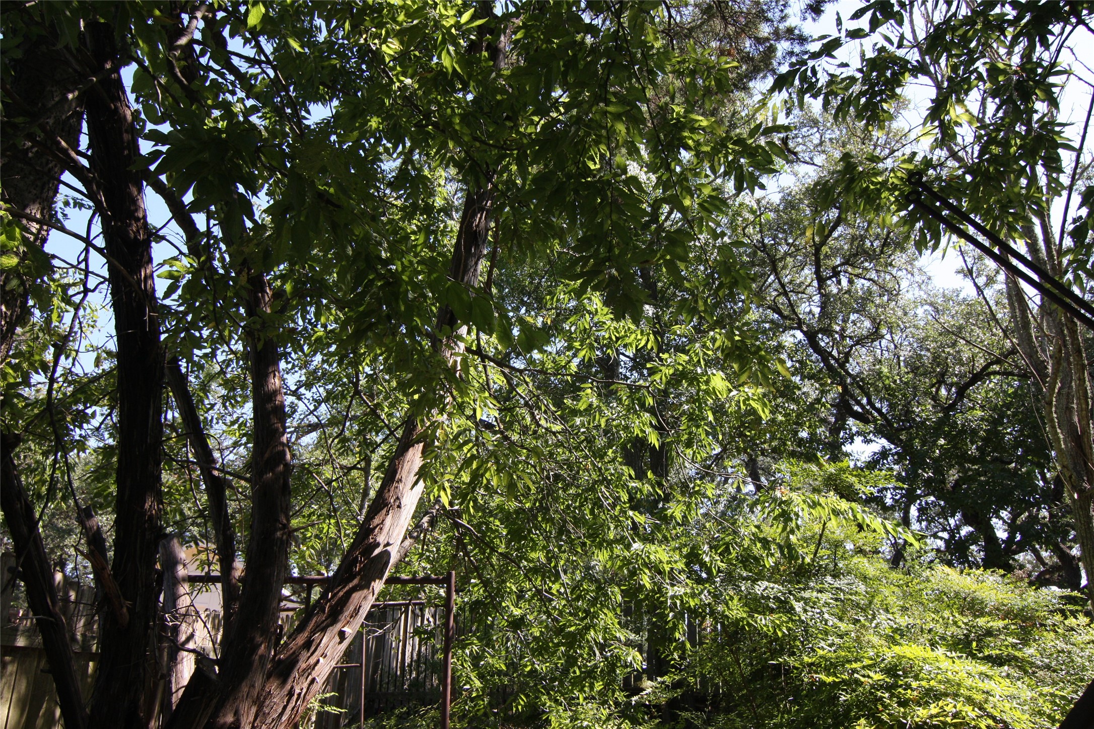 main property photo 13