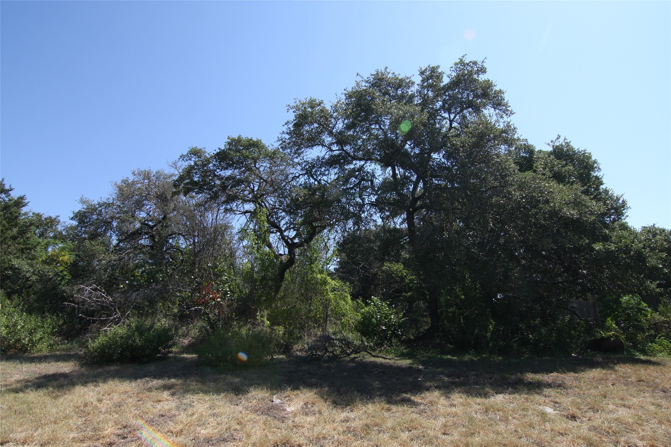 main property photo 38