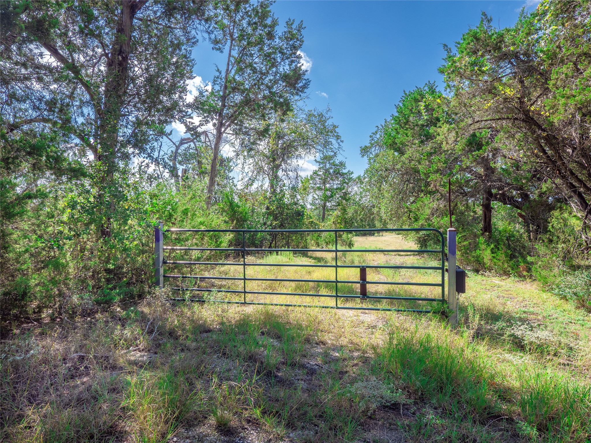main property photo 10