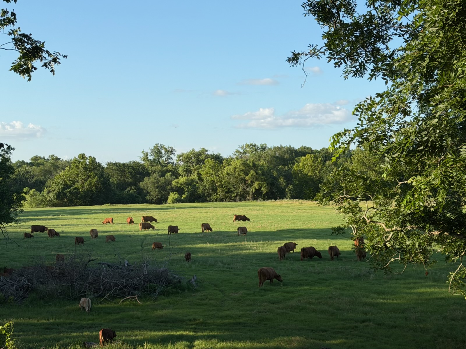main property photo 6
