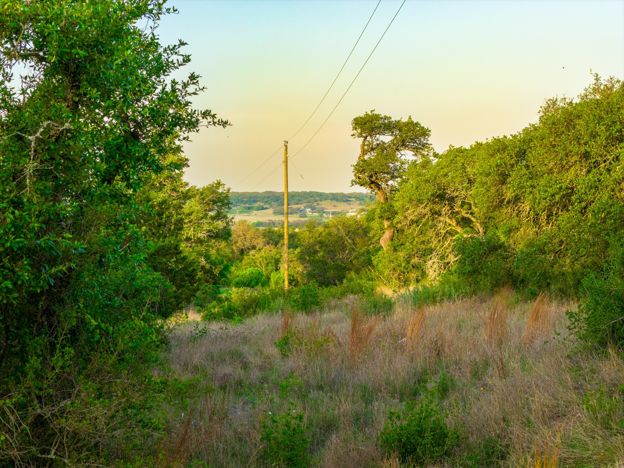 main property photo 29