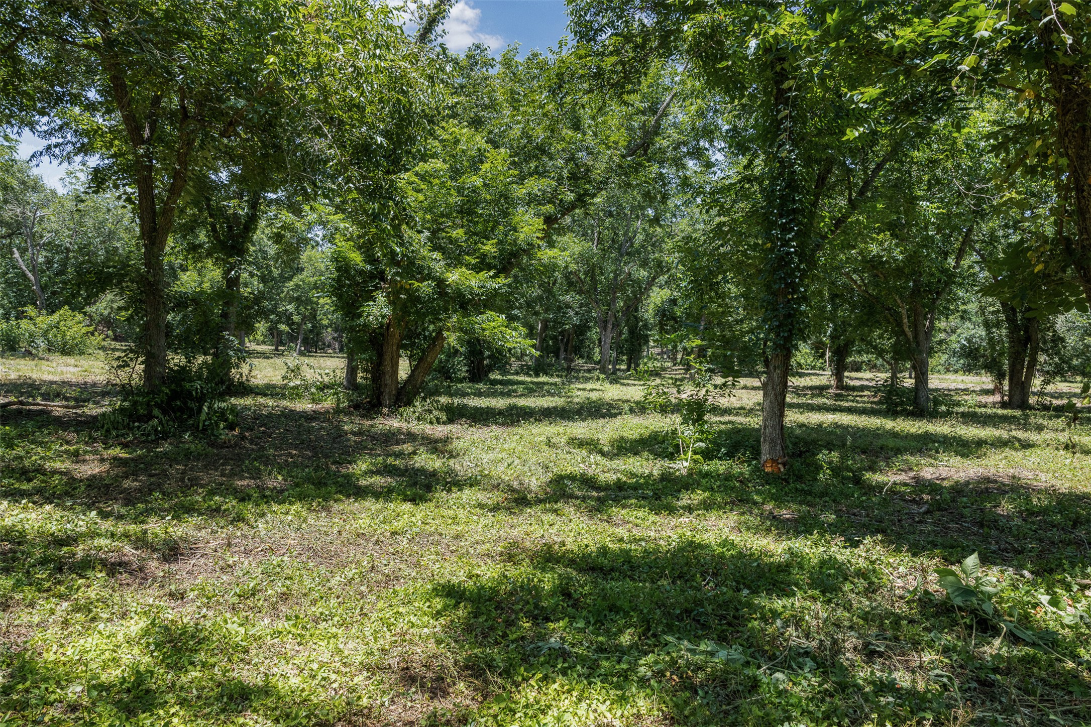 main property photo 12