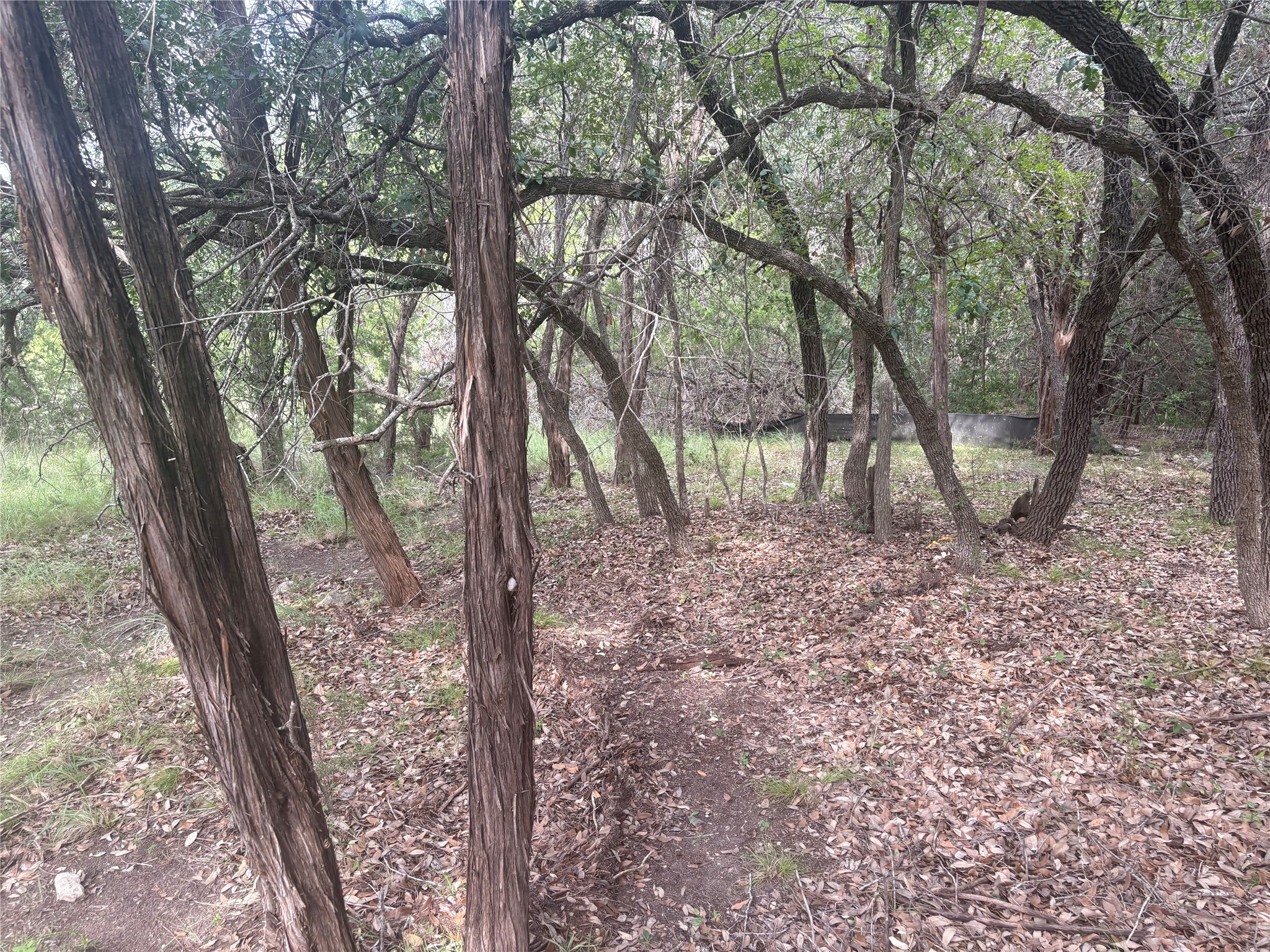 main property photo 11