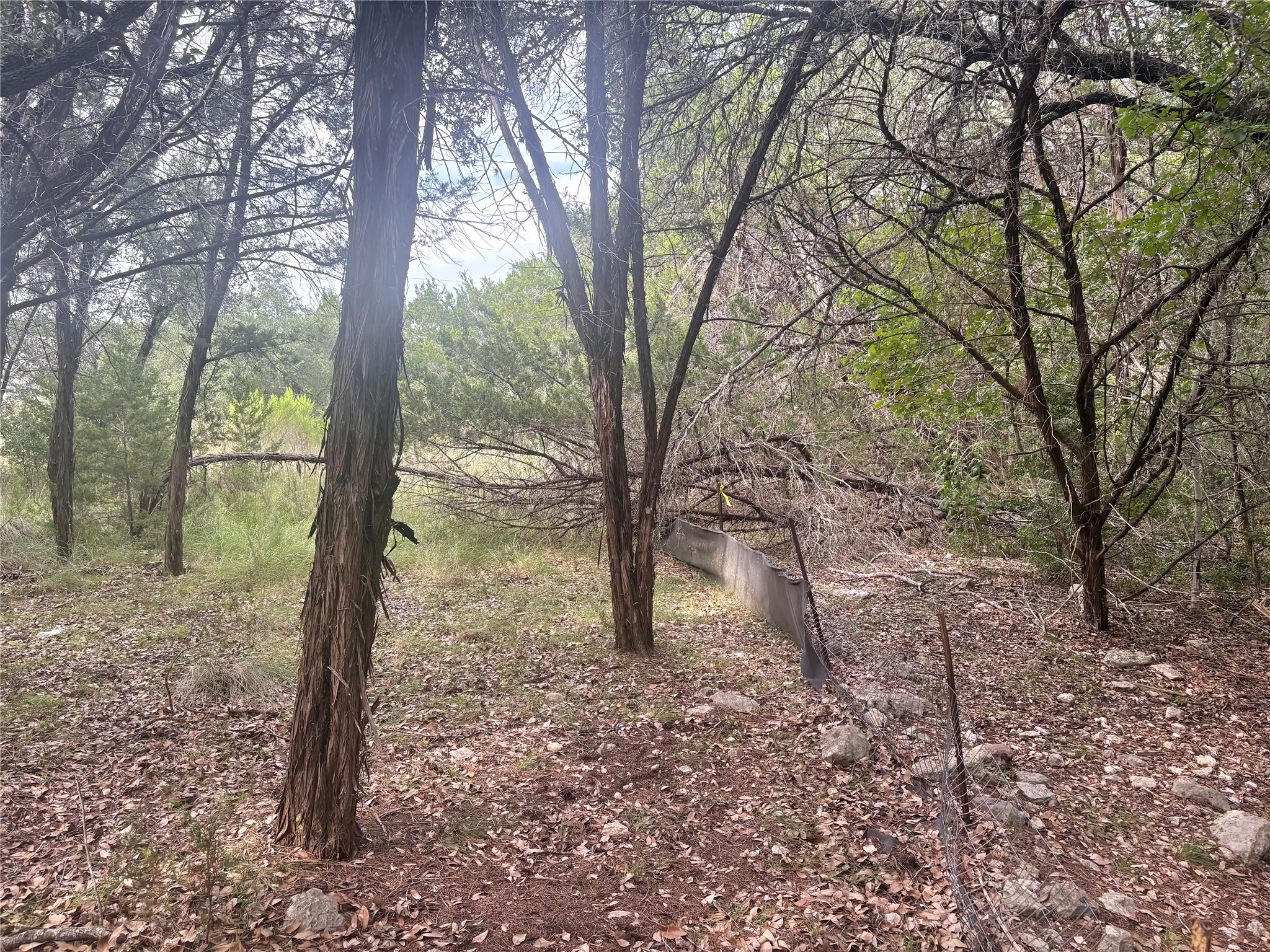 main property photo 12