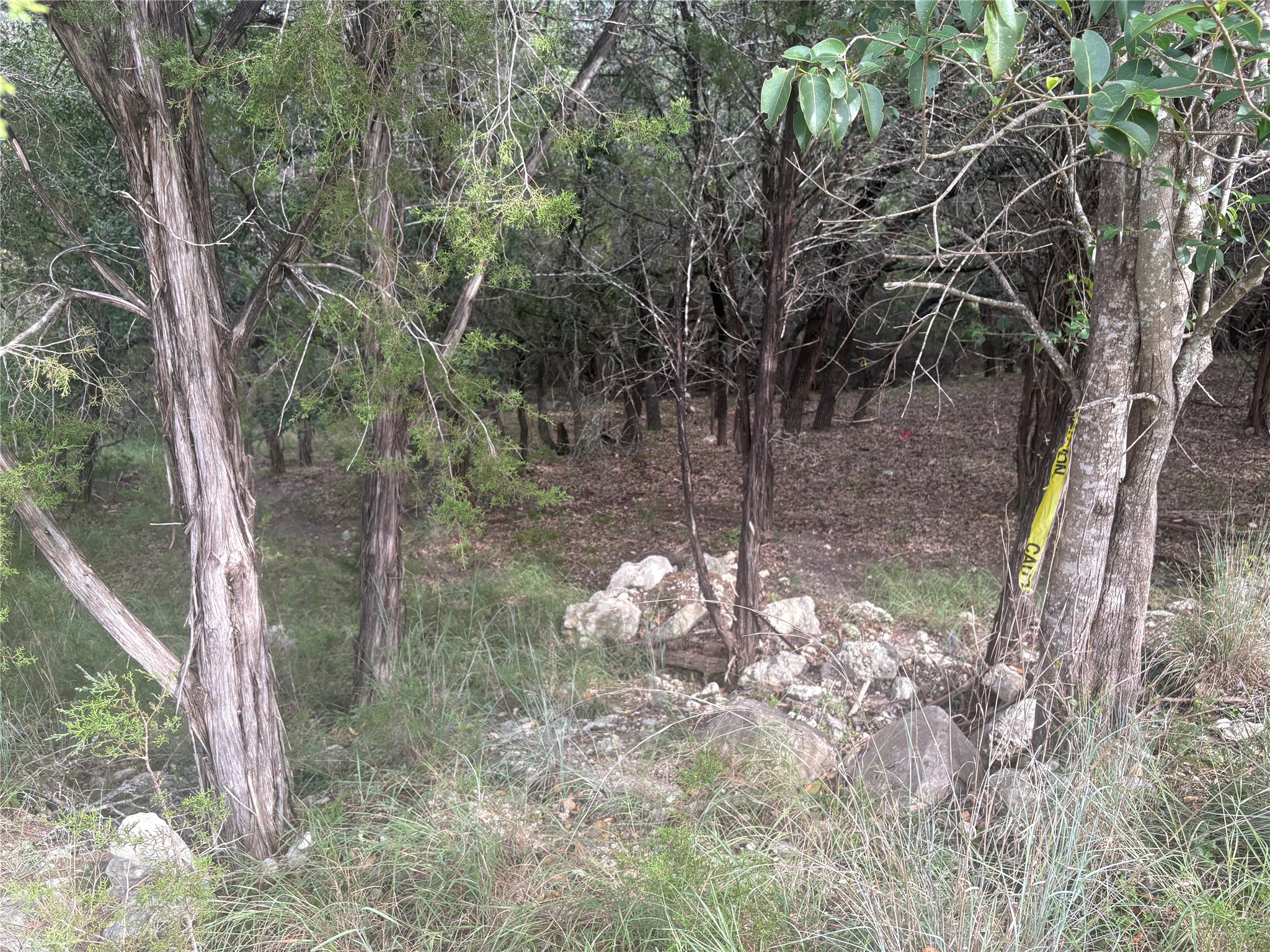 main property photo 9
