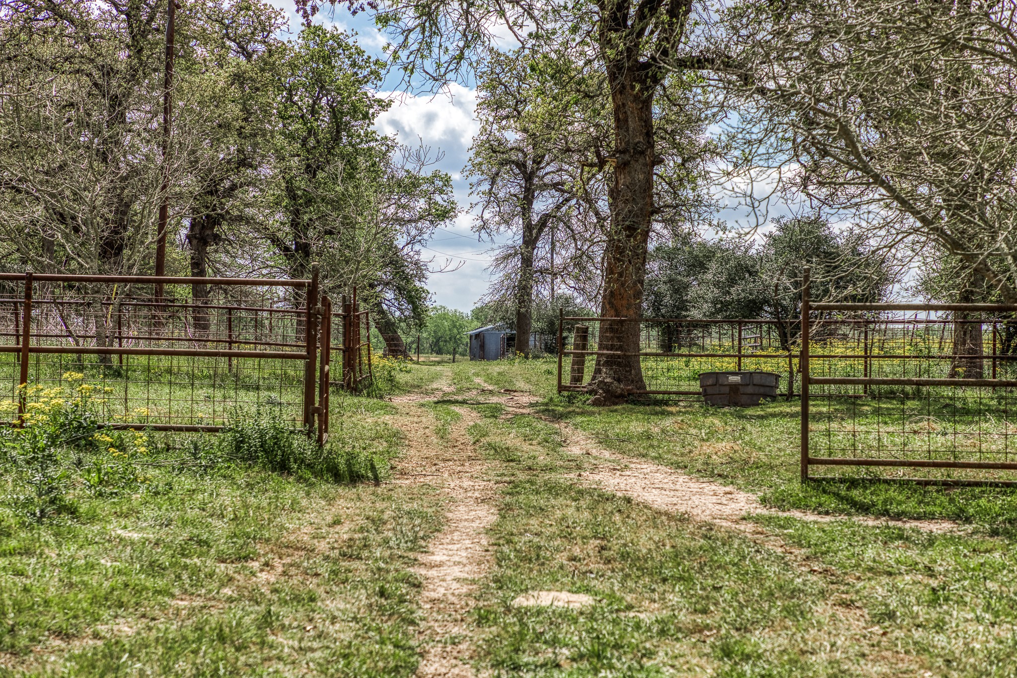 main property photo 8