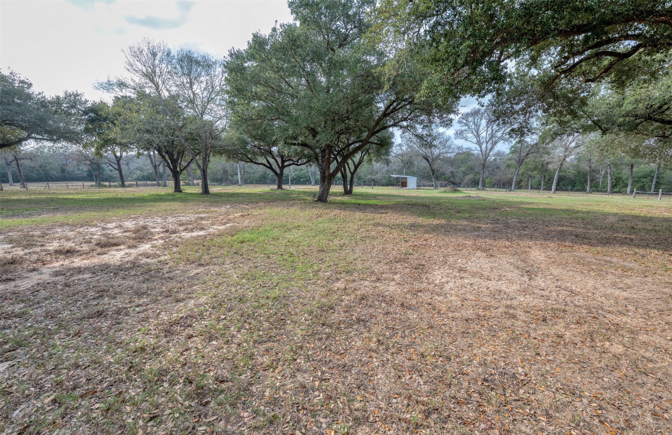 main property photo 31