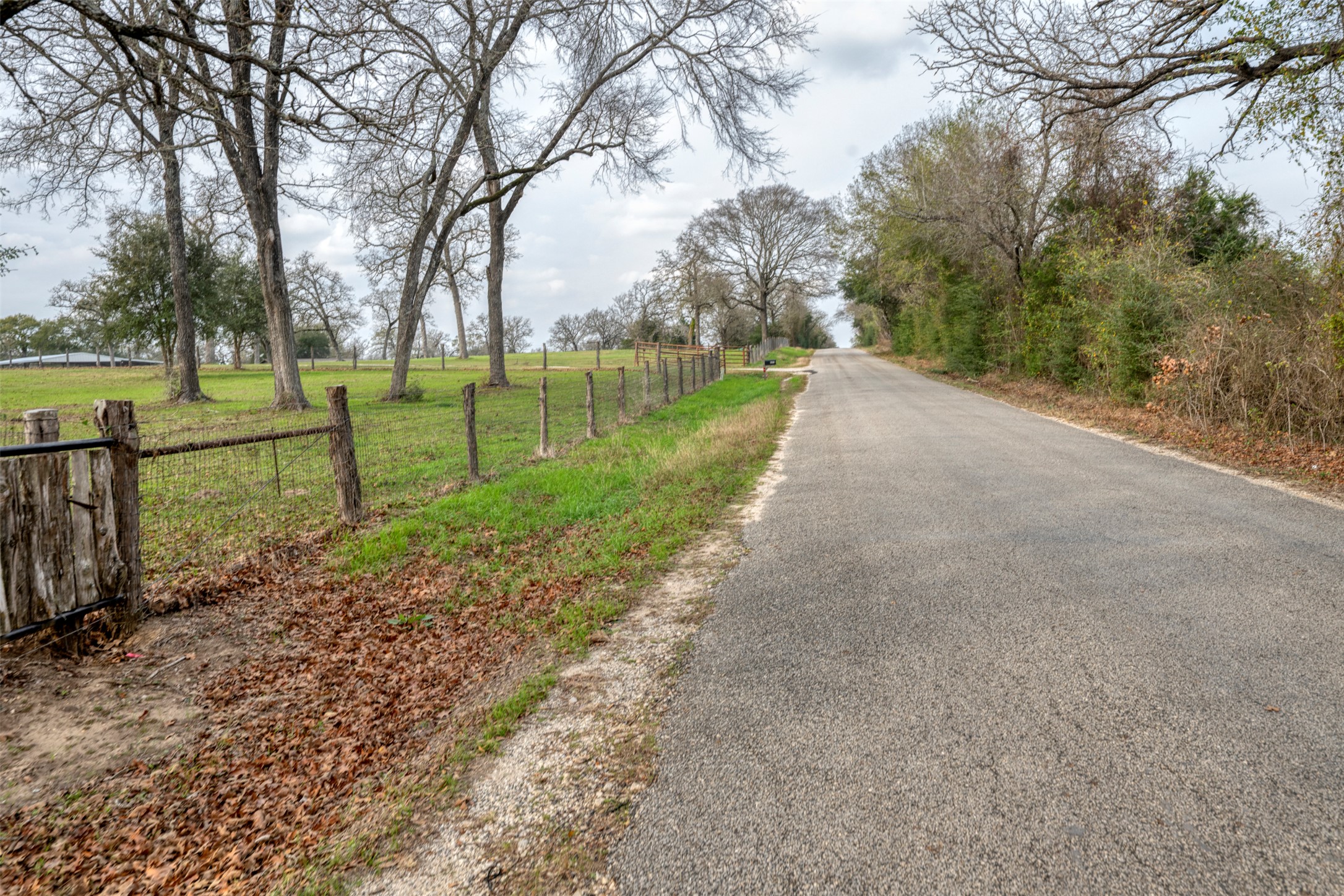 main property photo 37