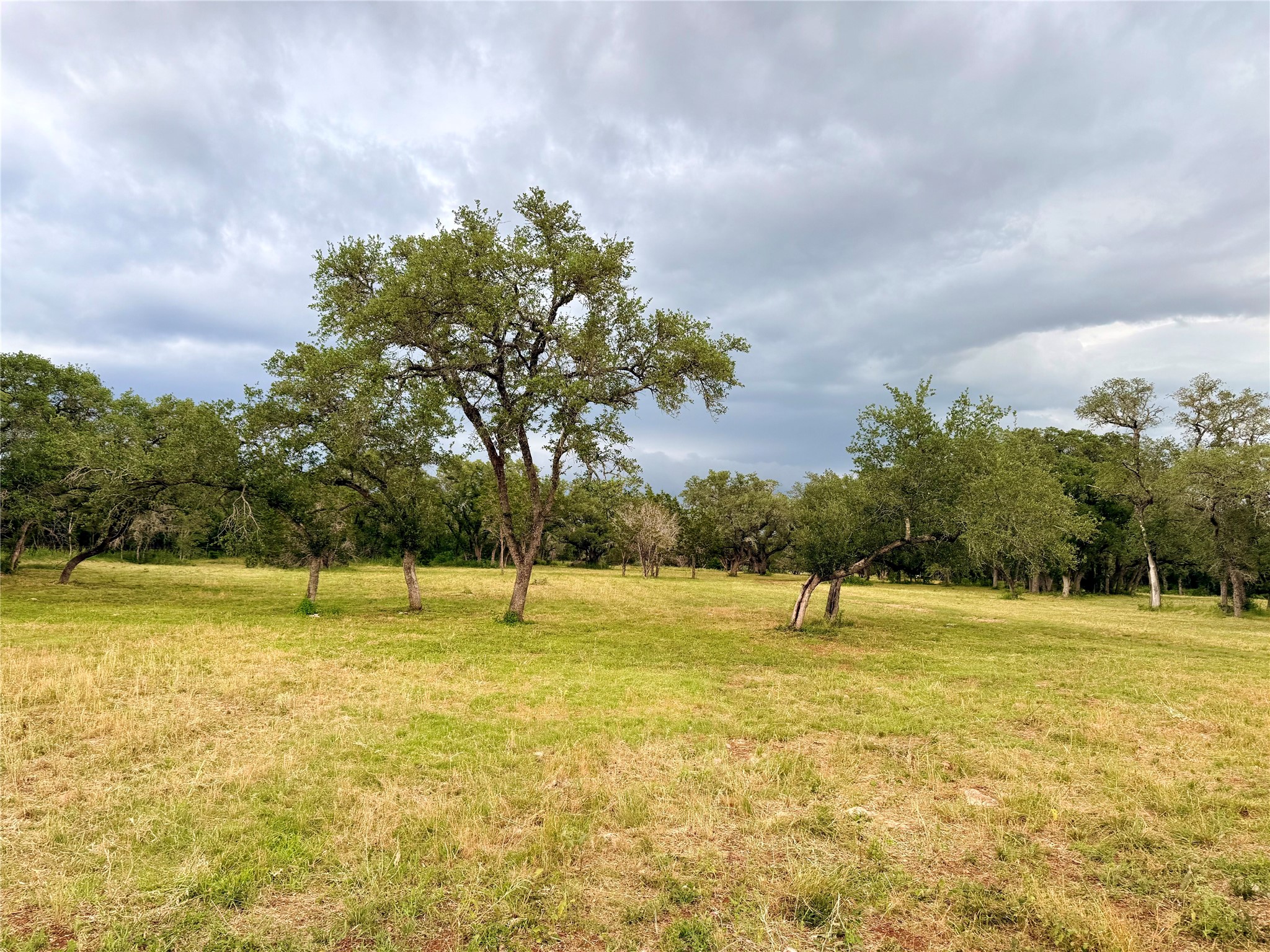 main property photo 10