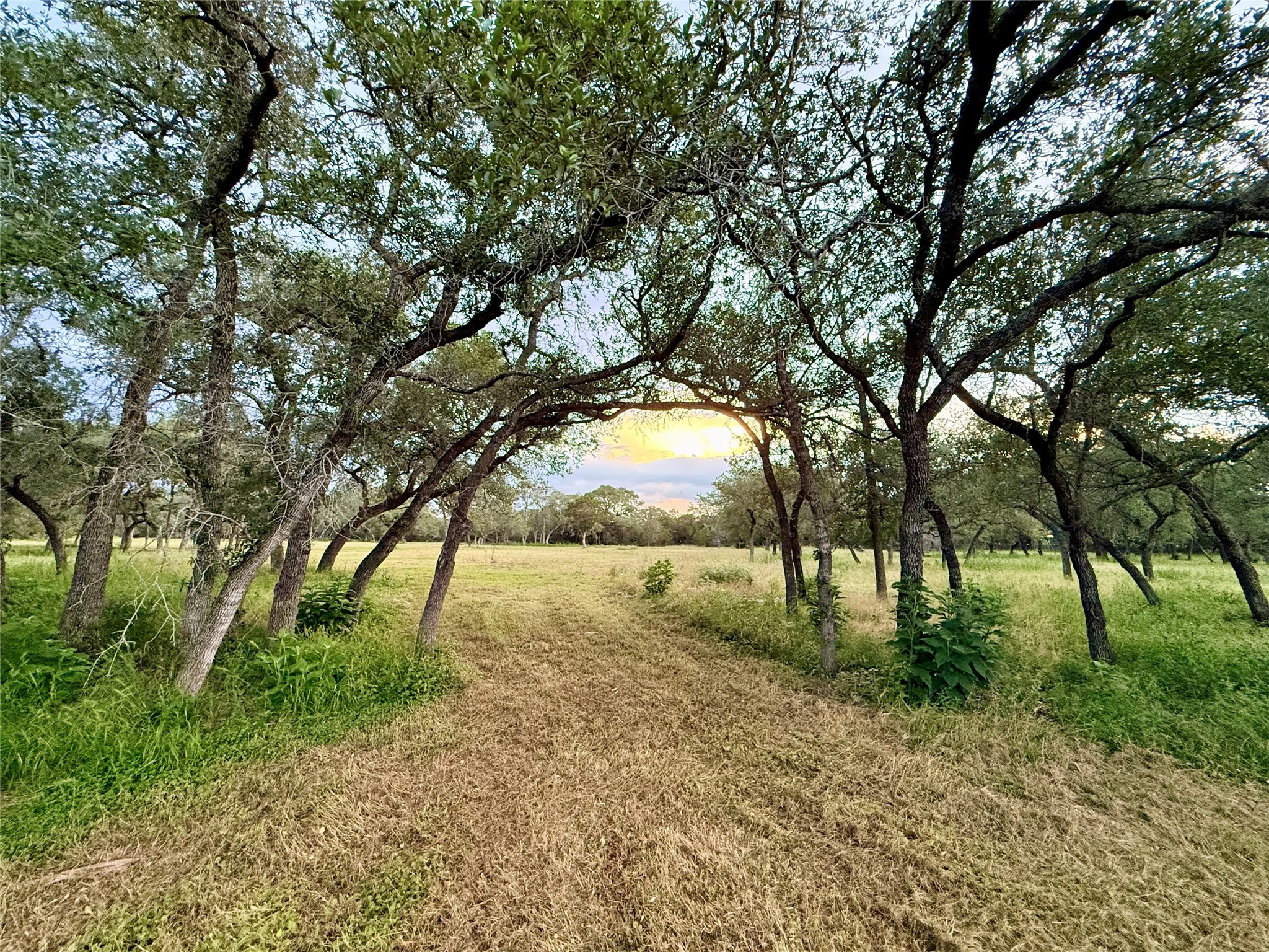 main property photo 17