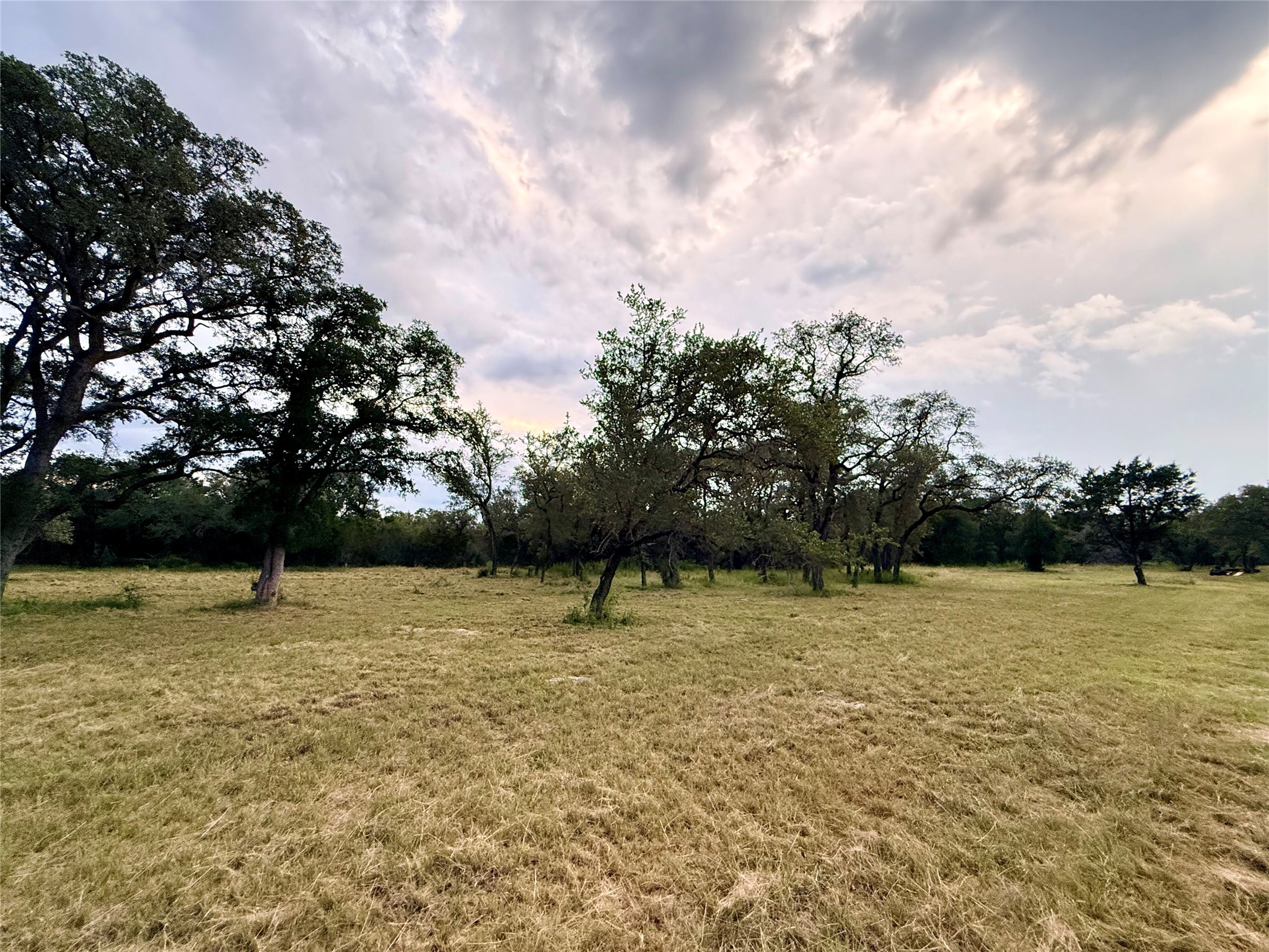 main property photo 25