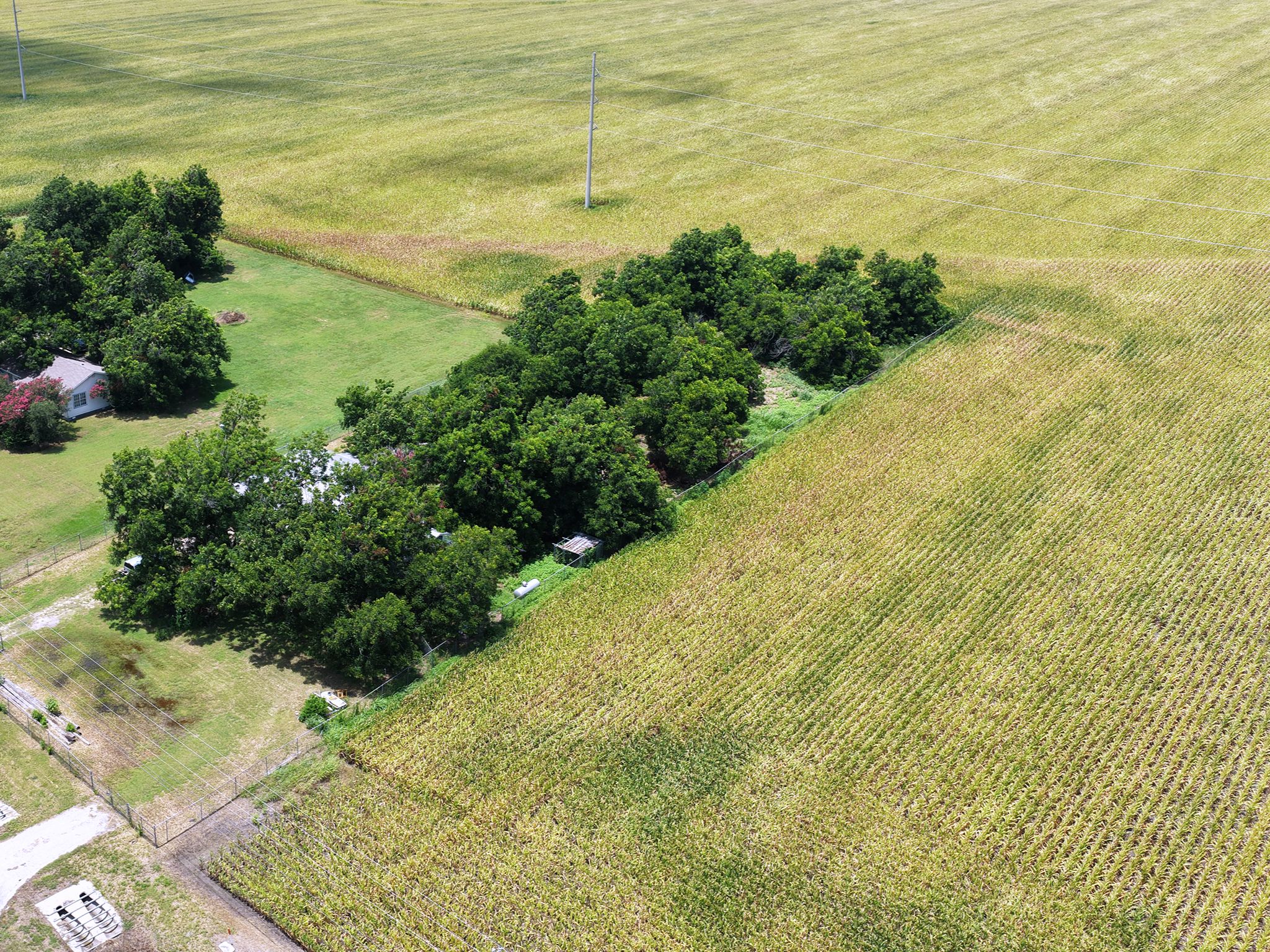 main property photo 8