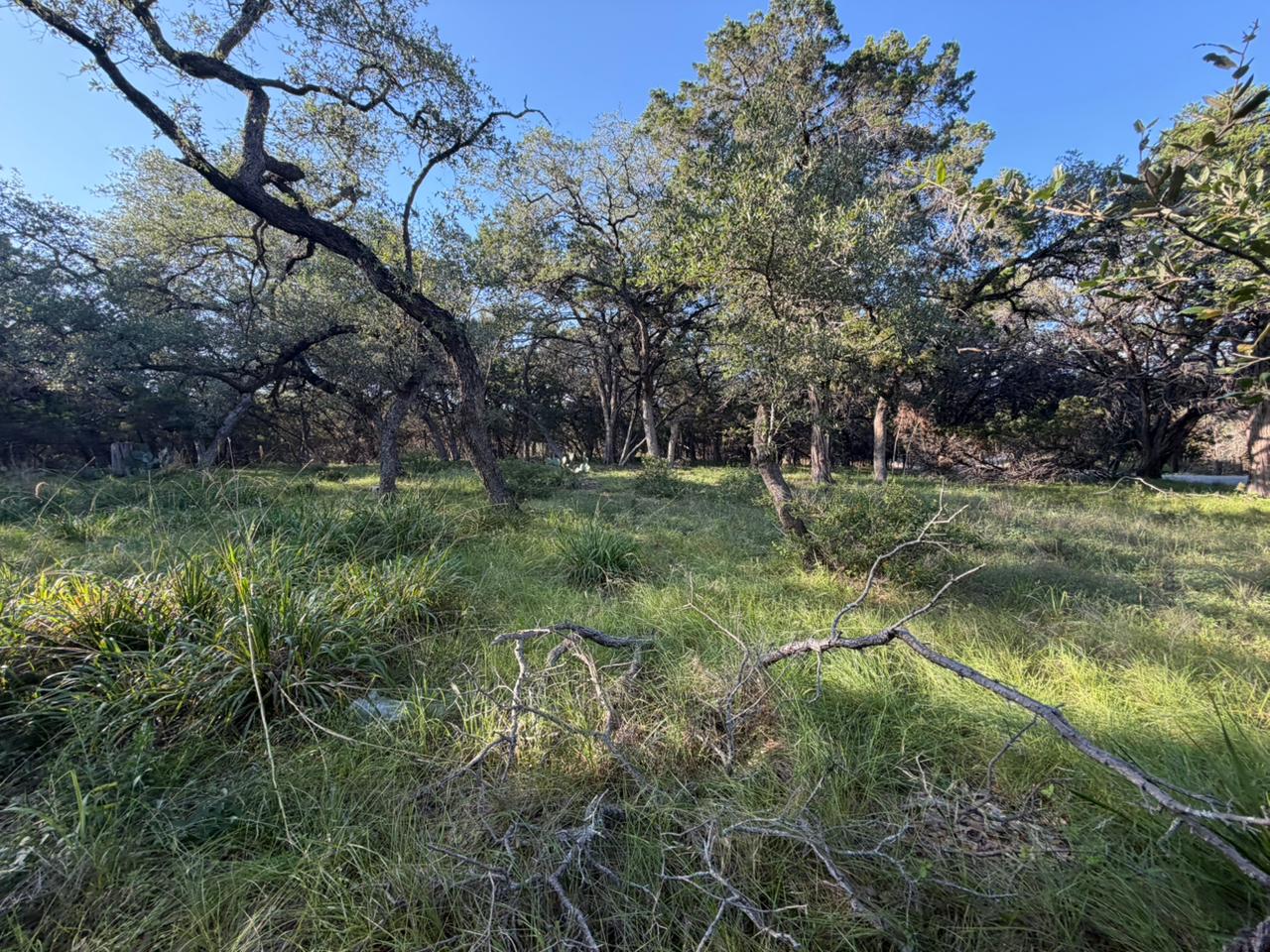 main property photo 15