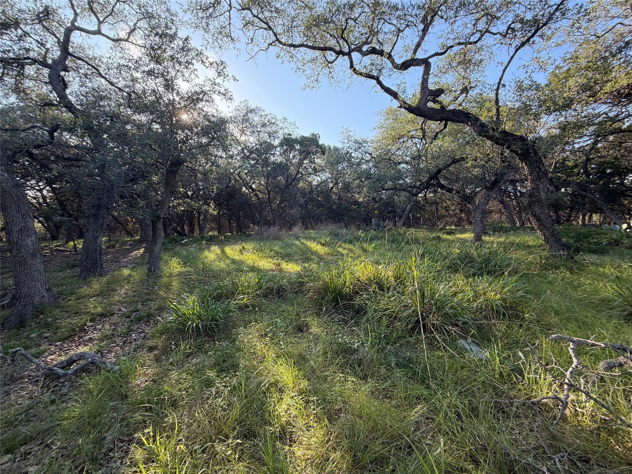 main property photo 16