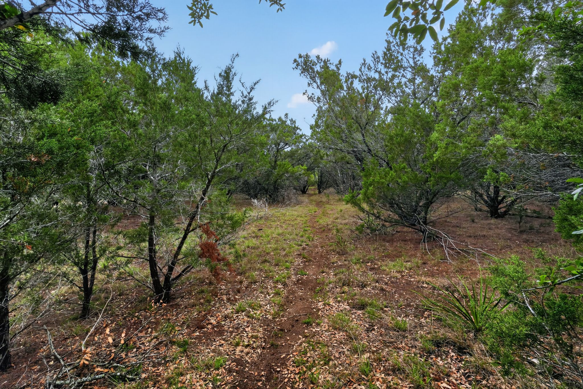 main property photo 38