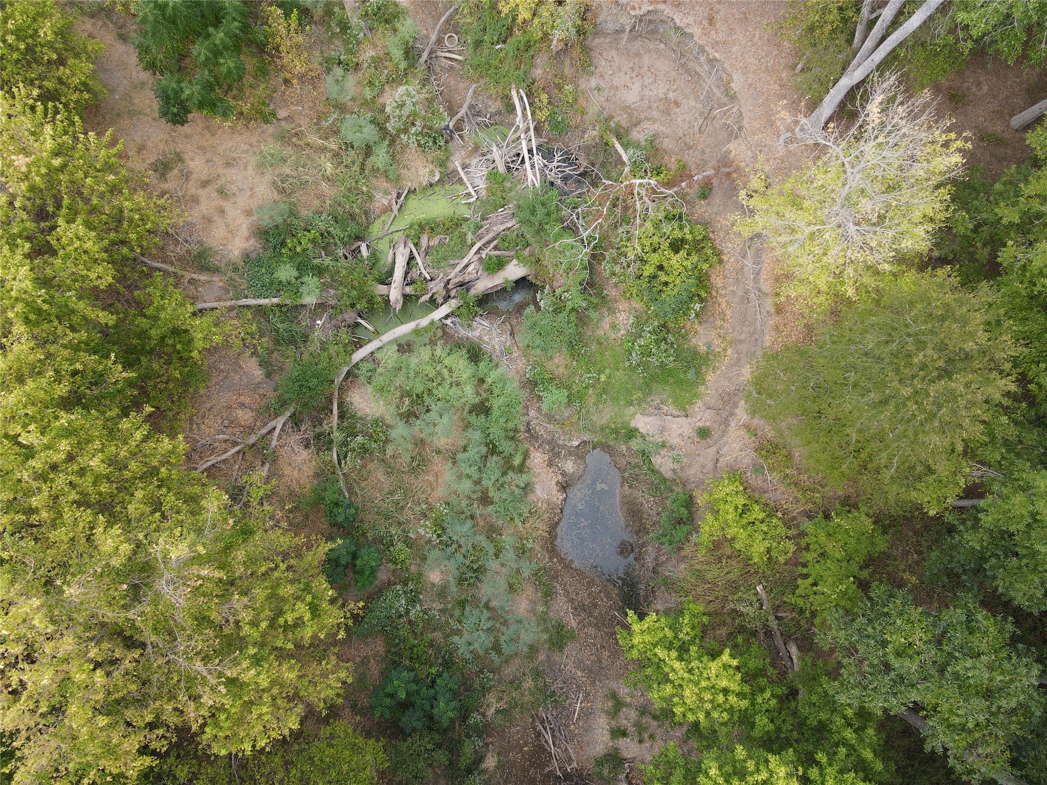 main property photo 27