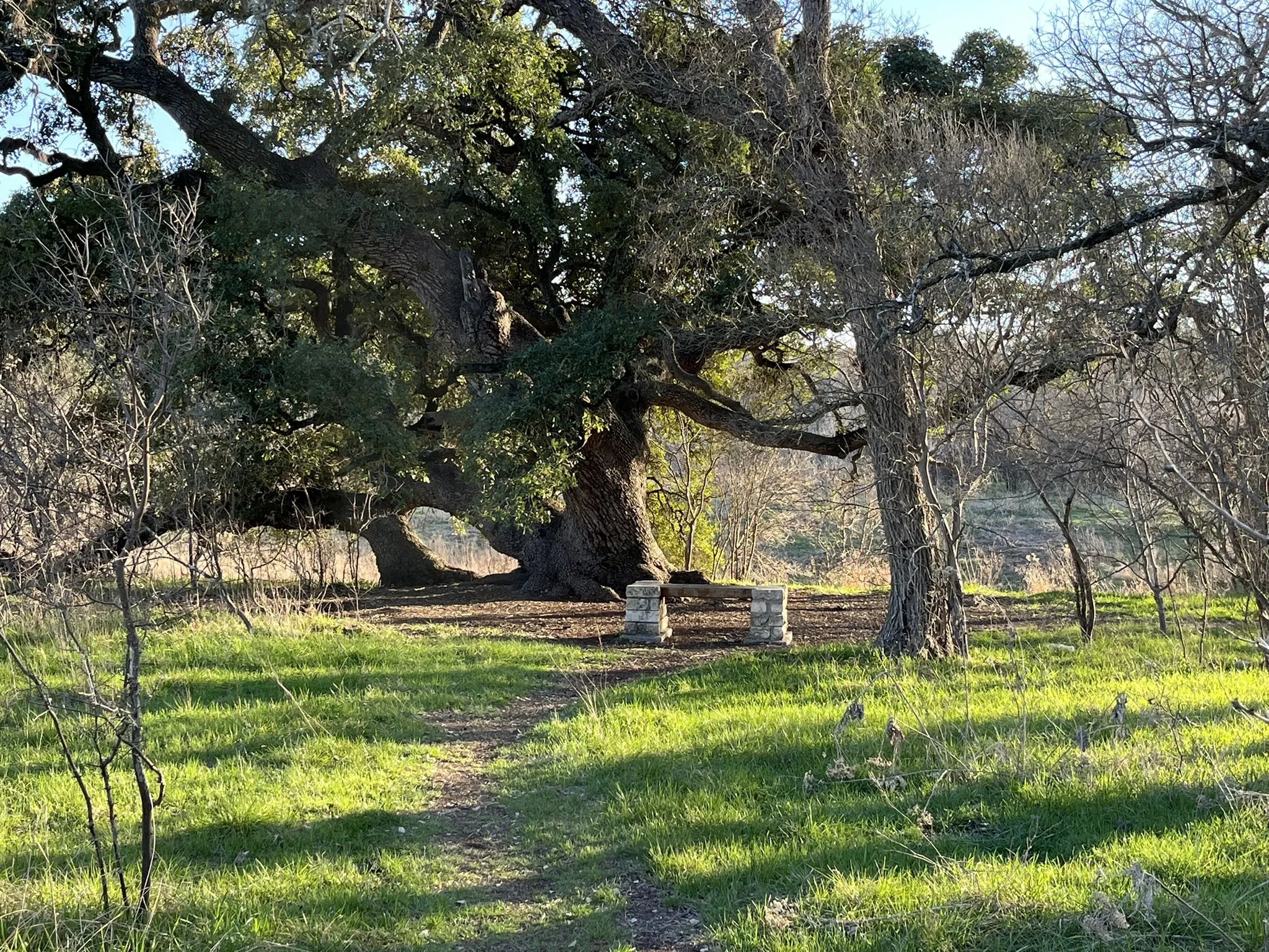 main property photo 31